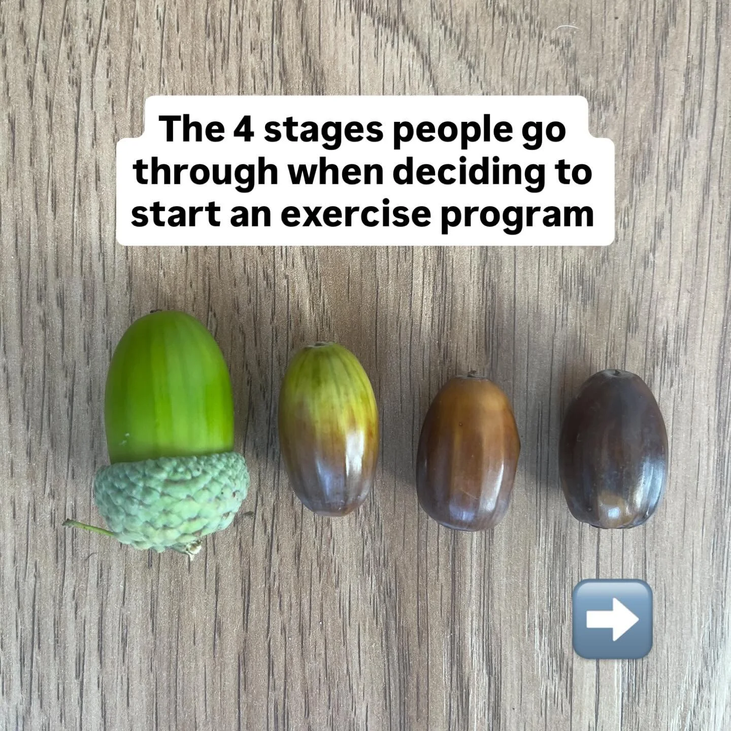 I spotted these 4 acorns a couple of weeks ago, and they reminded me of the stages people typically go through when deciding to start an exercise program:

⸻

1. Precontemplation (Not Ready) : &ldquo;I know I should exercise, but I&rsquo;m not really