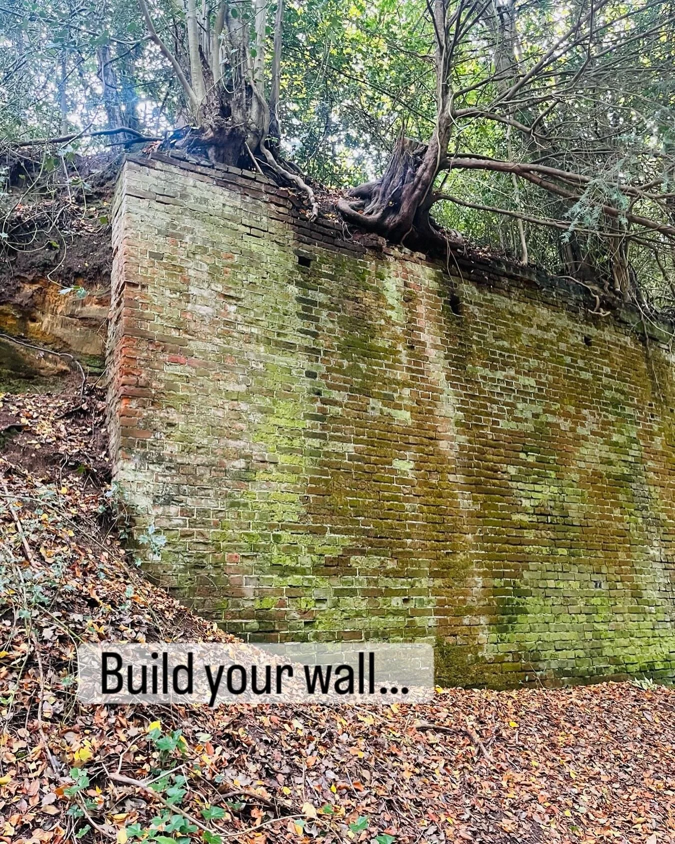 I love this old brick wall near Westcott. It&rsquo;s weathered, uneven, but still standing very strong!

Each brick on its own may seem insignificant, yet stacked together, they create something awe-inspiring.

Fitness and health work the in the same