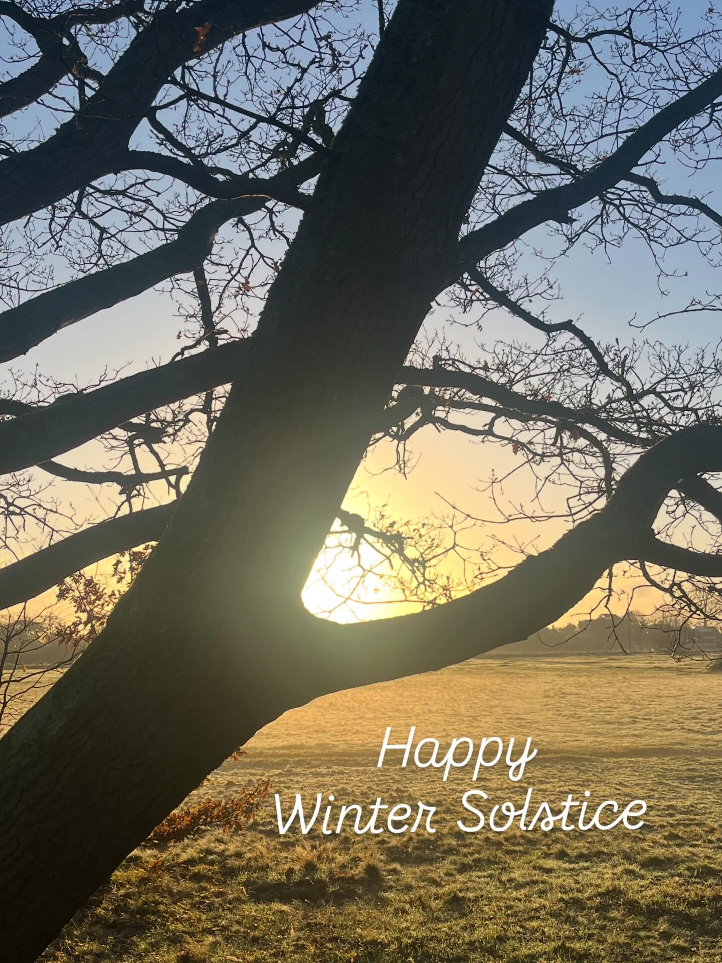Happy Winter Solstice! From here on out, each day grows a little longer than the last.

The change is so gradual, you barely notice it. Nobody flips a switch, and there is no overnight fix.

Let your training mirror this, especially over the festive 