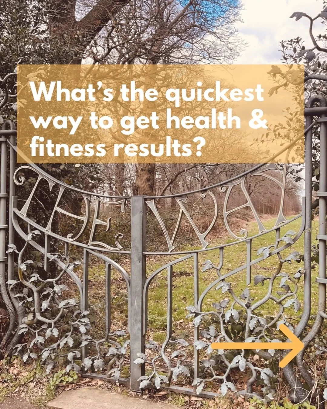 I love &ldquo;The Way&rdquo; gates in Richmond Park.

If you use the King Henry&rsquo;s Mound telescope, you can line it up with these gates and enjoy the protected 10 mile view all the way to St Paul&rsquo;s Cathedral!

In fitness, most people wish 