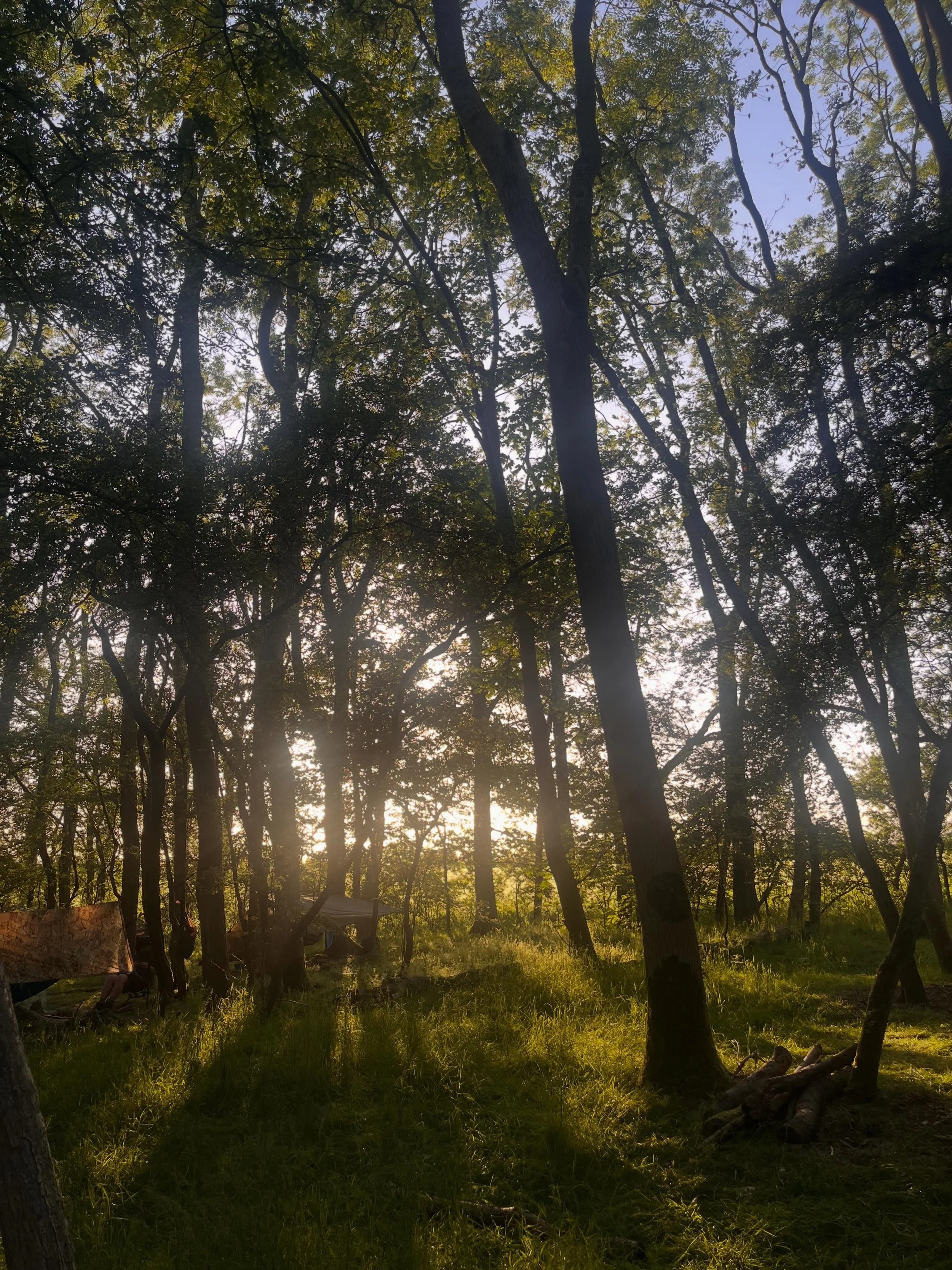 It&rsquo;s been a busy week! 

2 days of teaching bushcraft at a school for @bigschoolcamp, then straight on to the @thebushcraftshow 
for more camping, this time with my family for 4 days.

Brilliant all round. Not many photos as my phone stayed wel