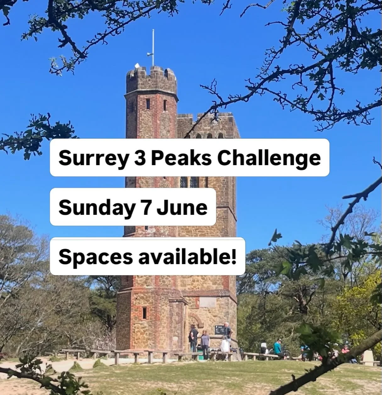 A big day out in the Surrey Hills ticking off Leith Hill, Holmbury Hill and Box Hill

When: 7 June 2026, 8am

Distance: 35km (22 miles) approx

Support: Qualified and insured walk leader and first aider, plus a support vehicle with extra water and sn