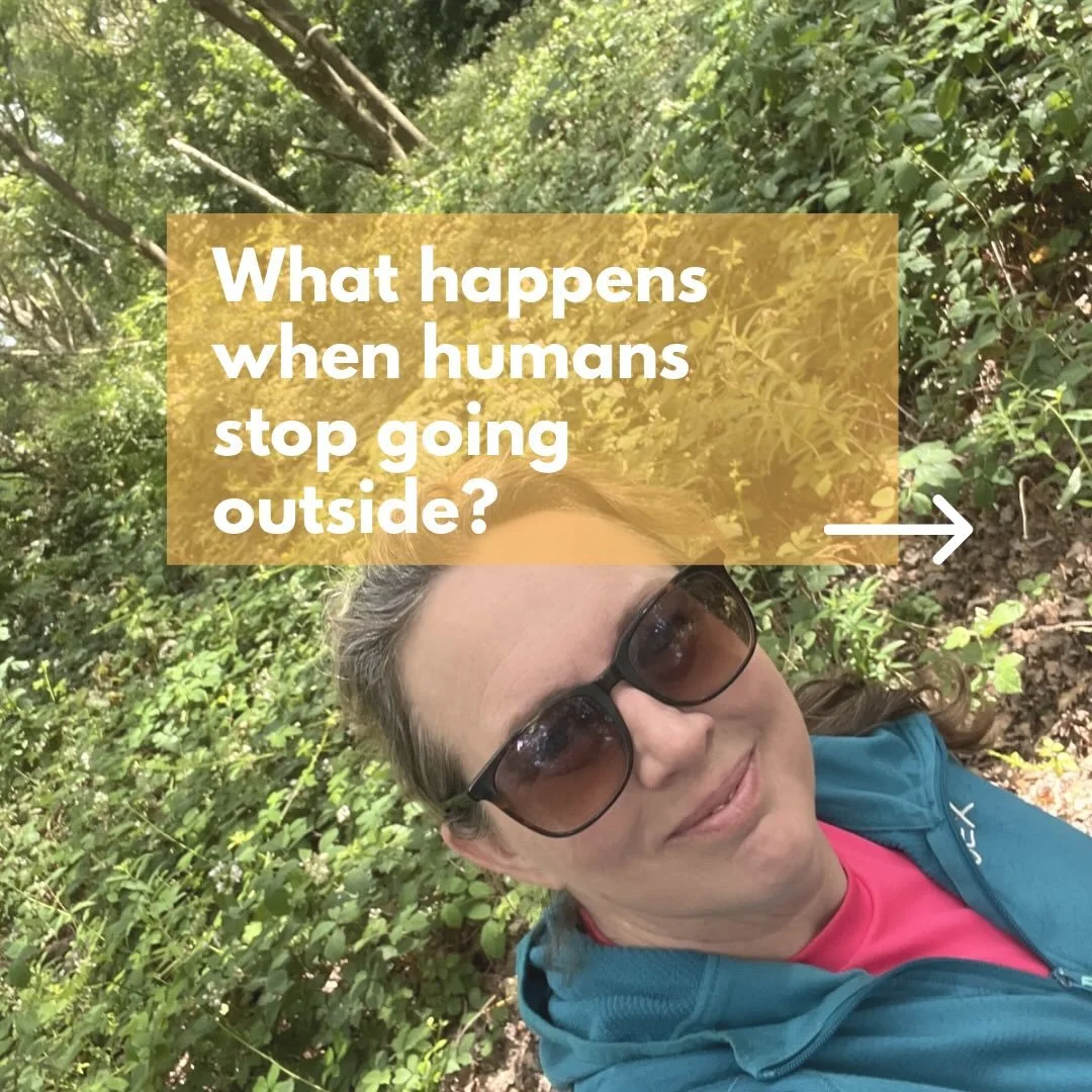 Have we become too disconnected from nature?

Or are we just too distracted to notice it?

Why does nature make us feel better? Is it because we remember more of our evolutionary roots than we think?

Let me know in the comments!

#getoutside #outdoo