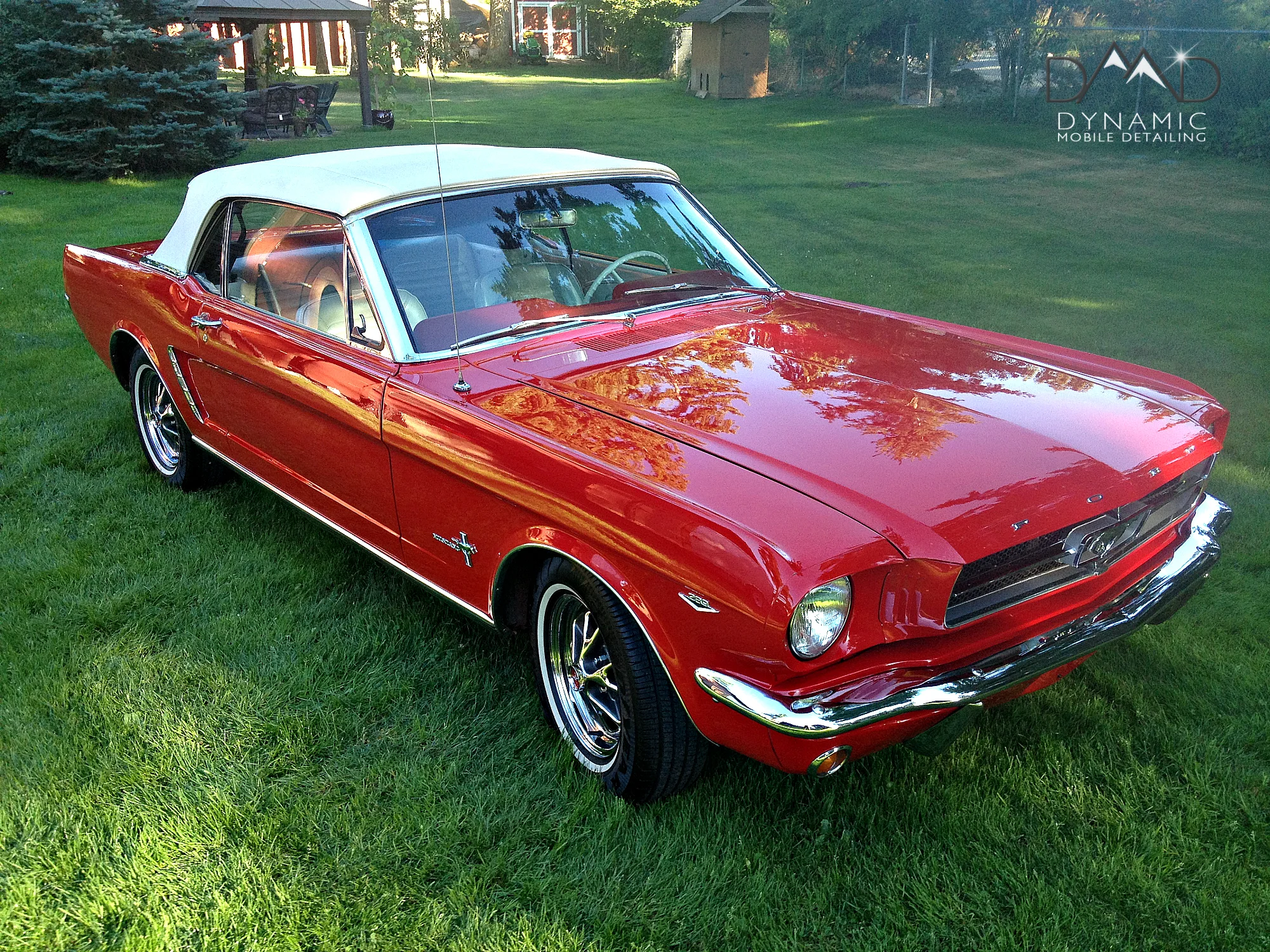 65 Mustang1.jpg