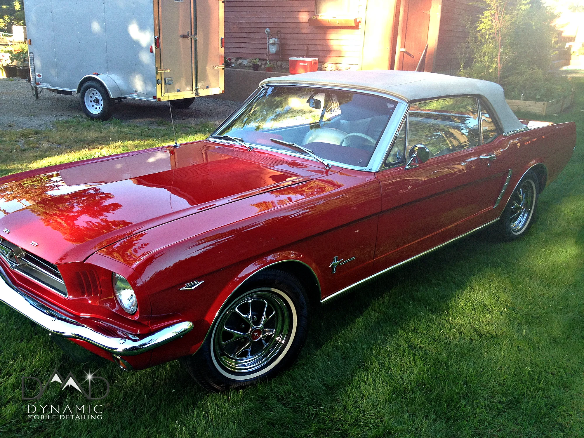 65 Mustang3.jpg