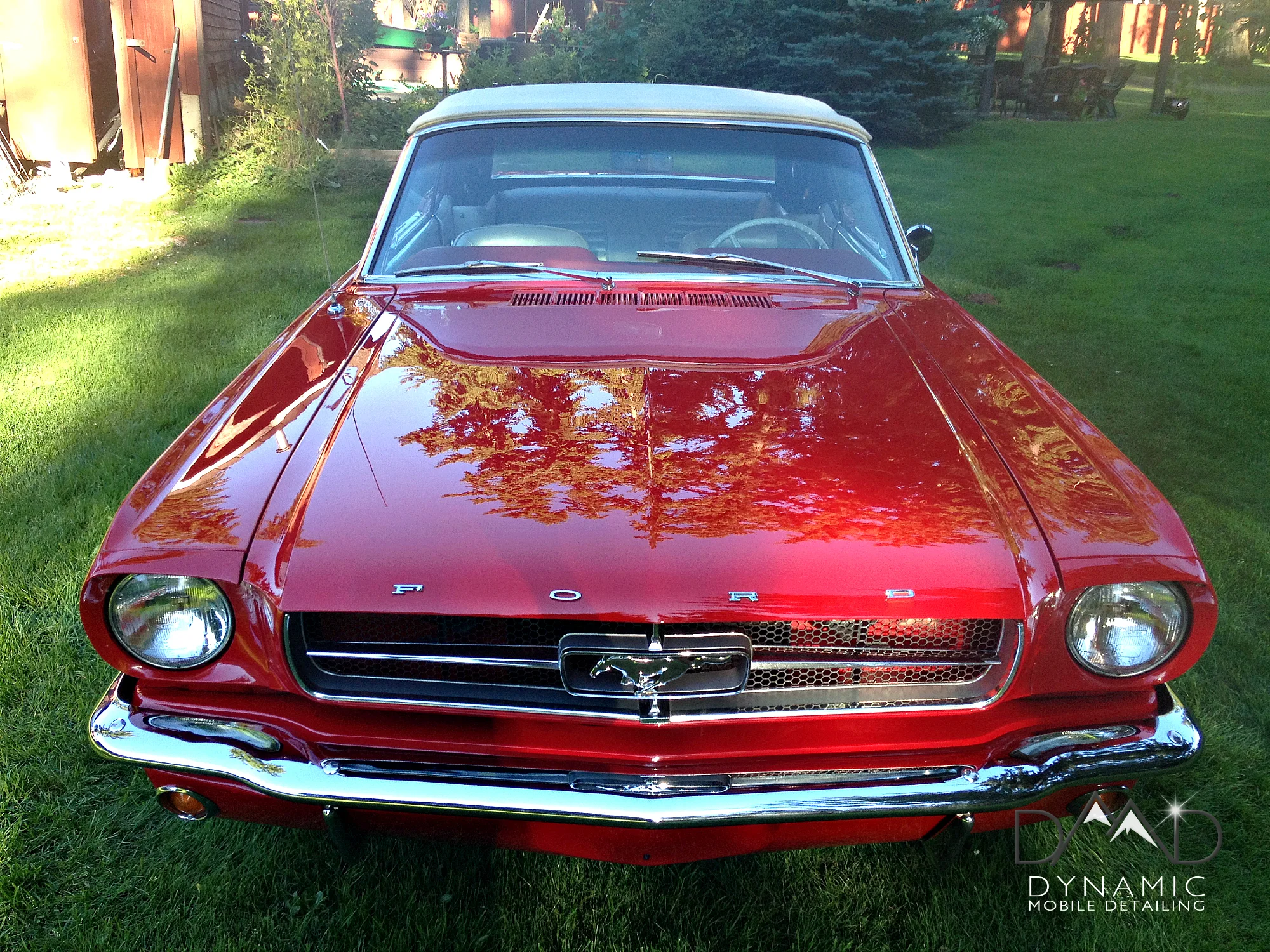 65 Mustang7.jpg