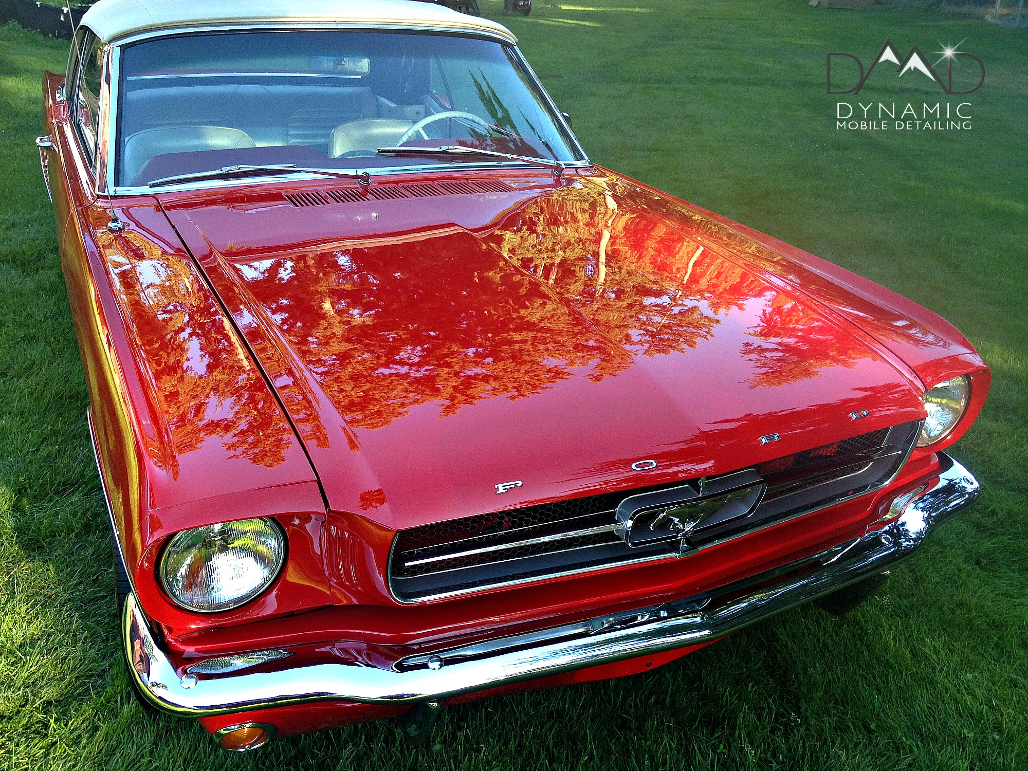 65 Mustang8.jpg