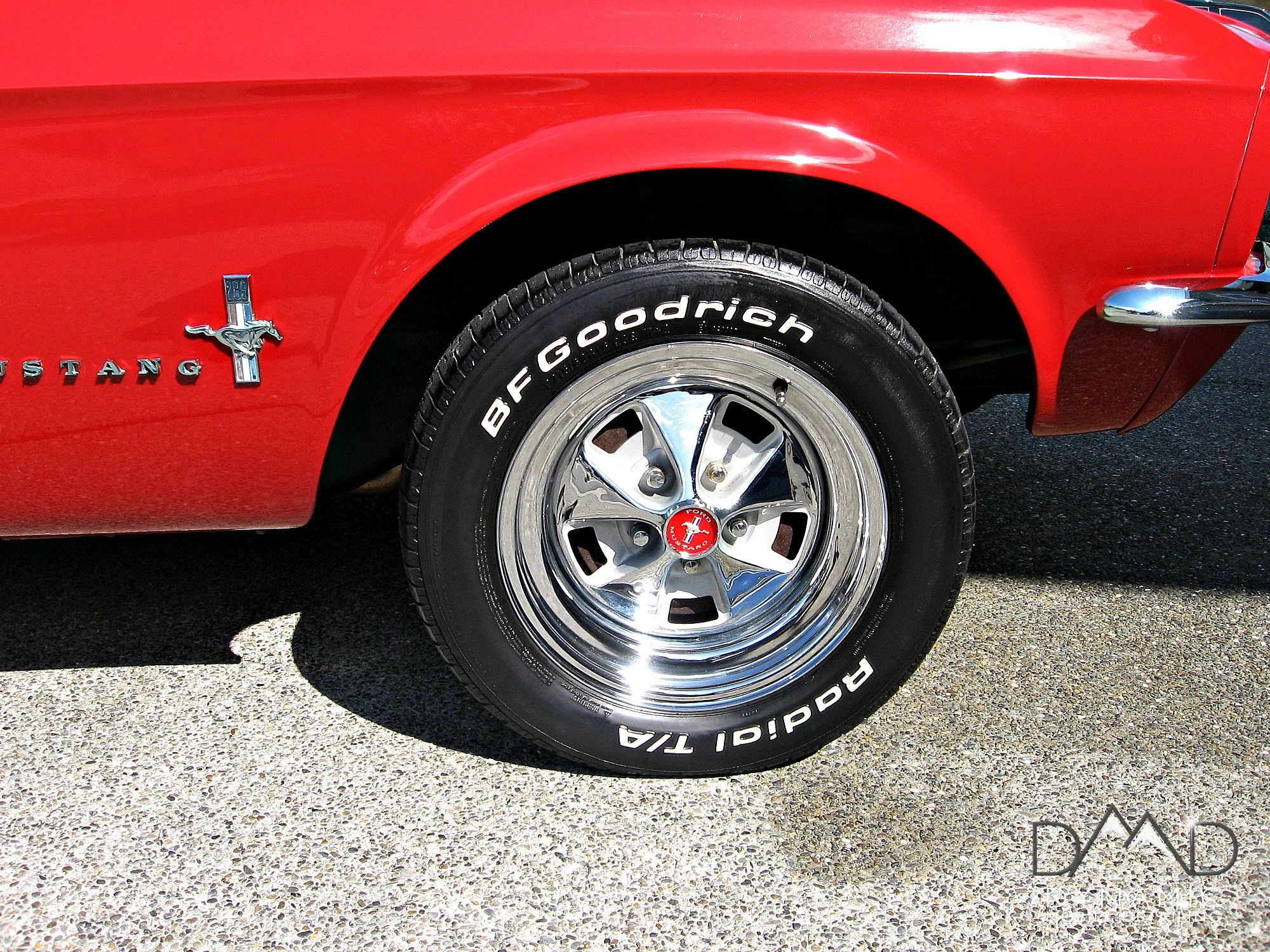 Red Mustang 2.jpg