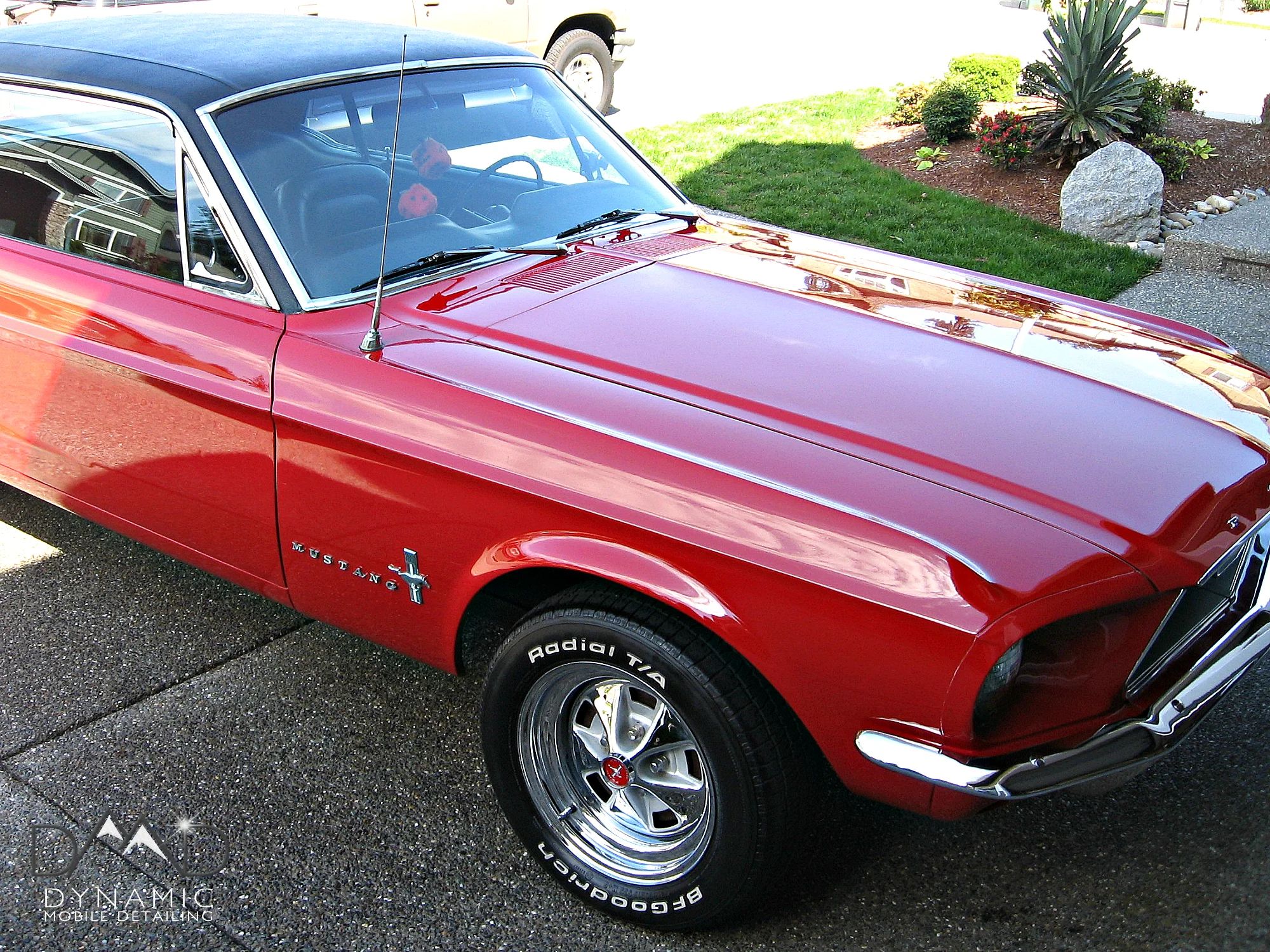 Red Mustang 6.jpg