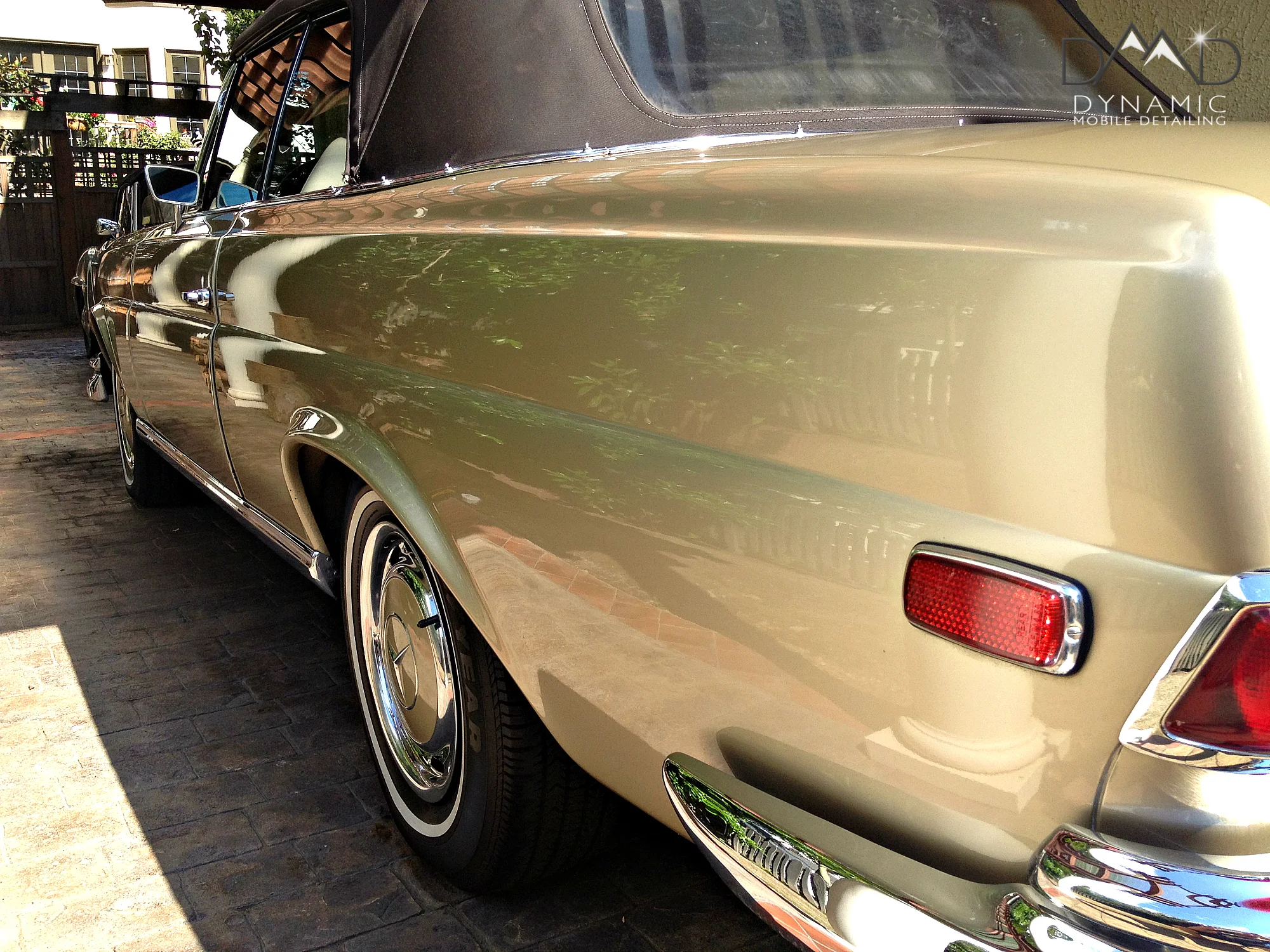 Gold Mercedes_5.jpg