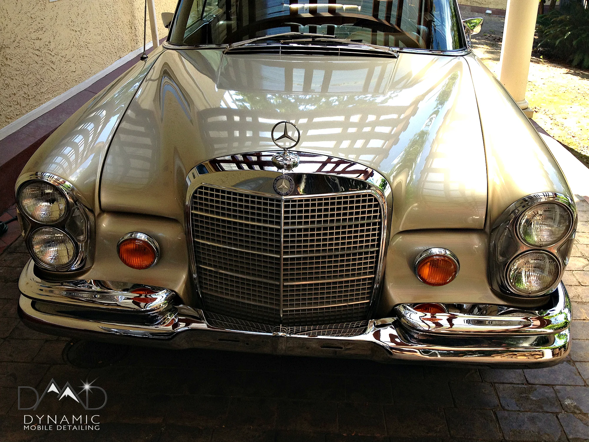 Gold Mercedes_6.jpg