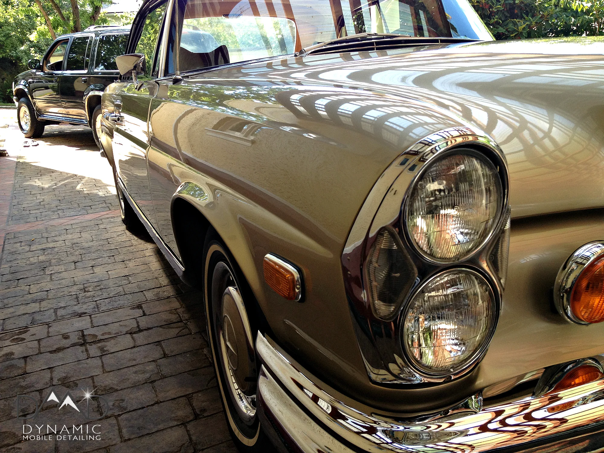 Gold Mercedes_8.jpg