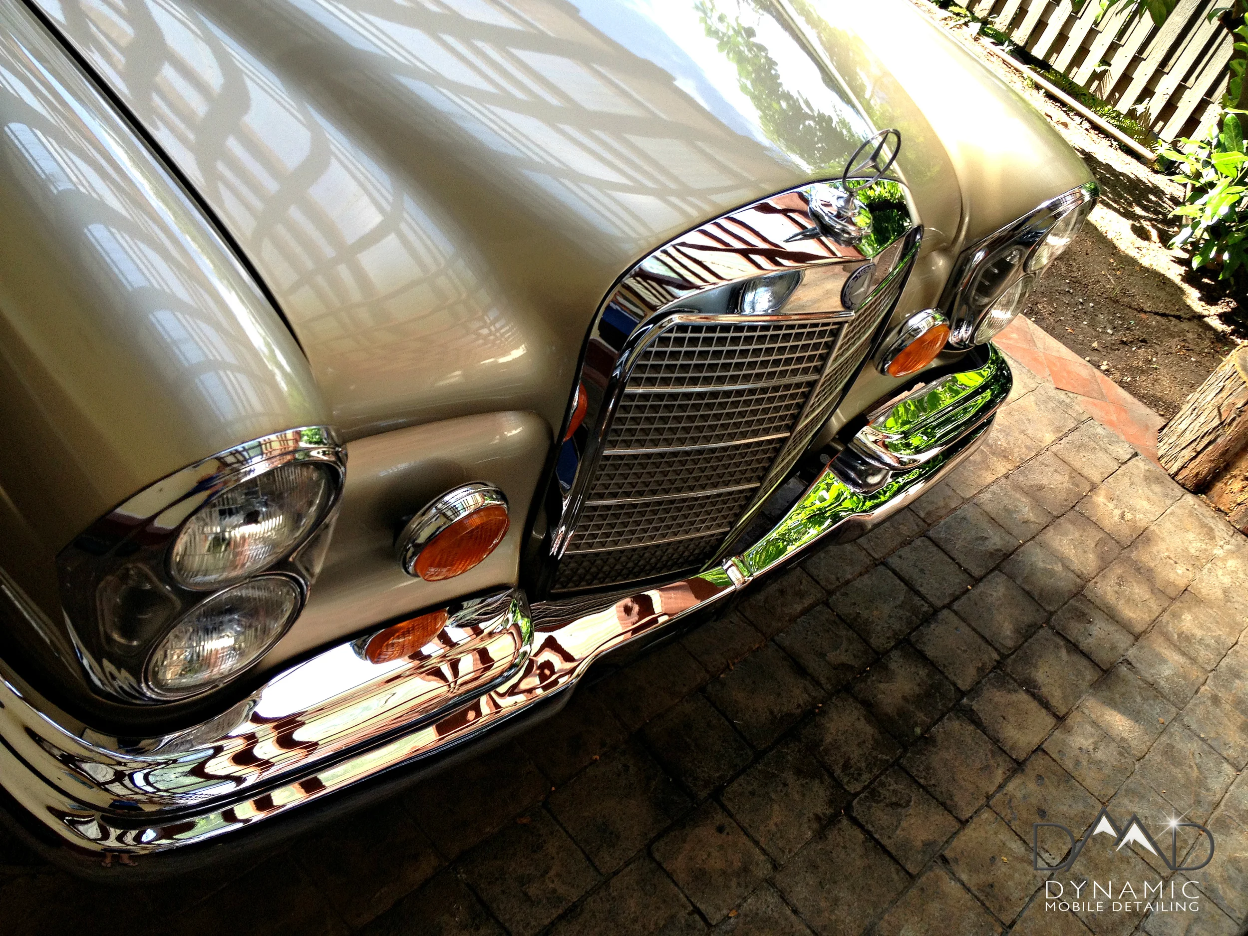 Gold Mercedes_7.jpg