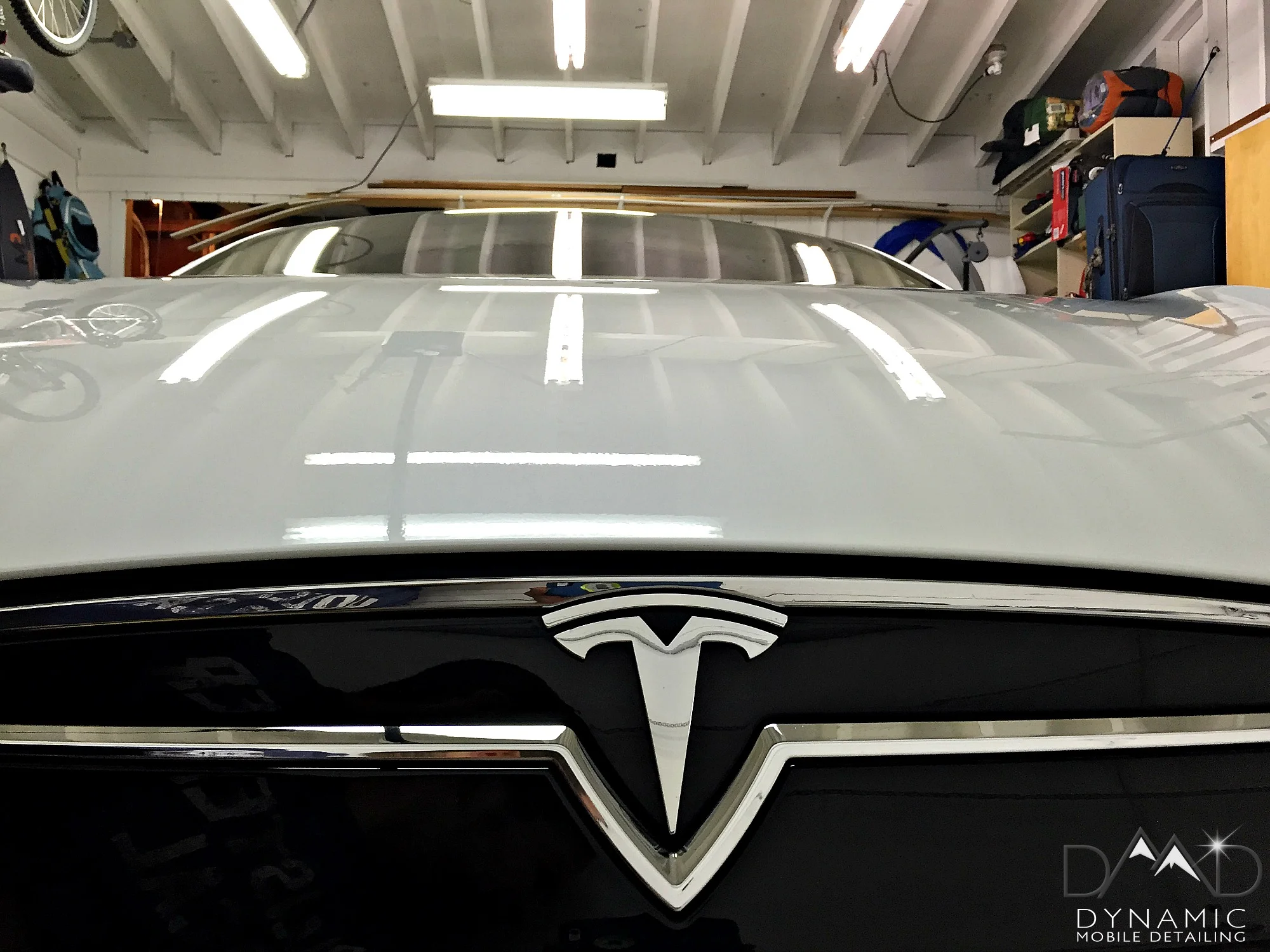 White Tesla6.jpg