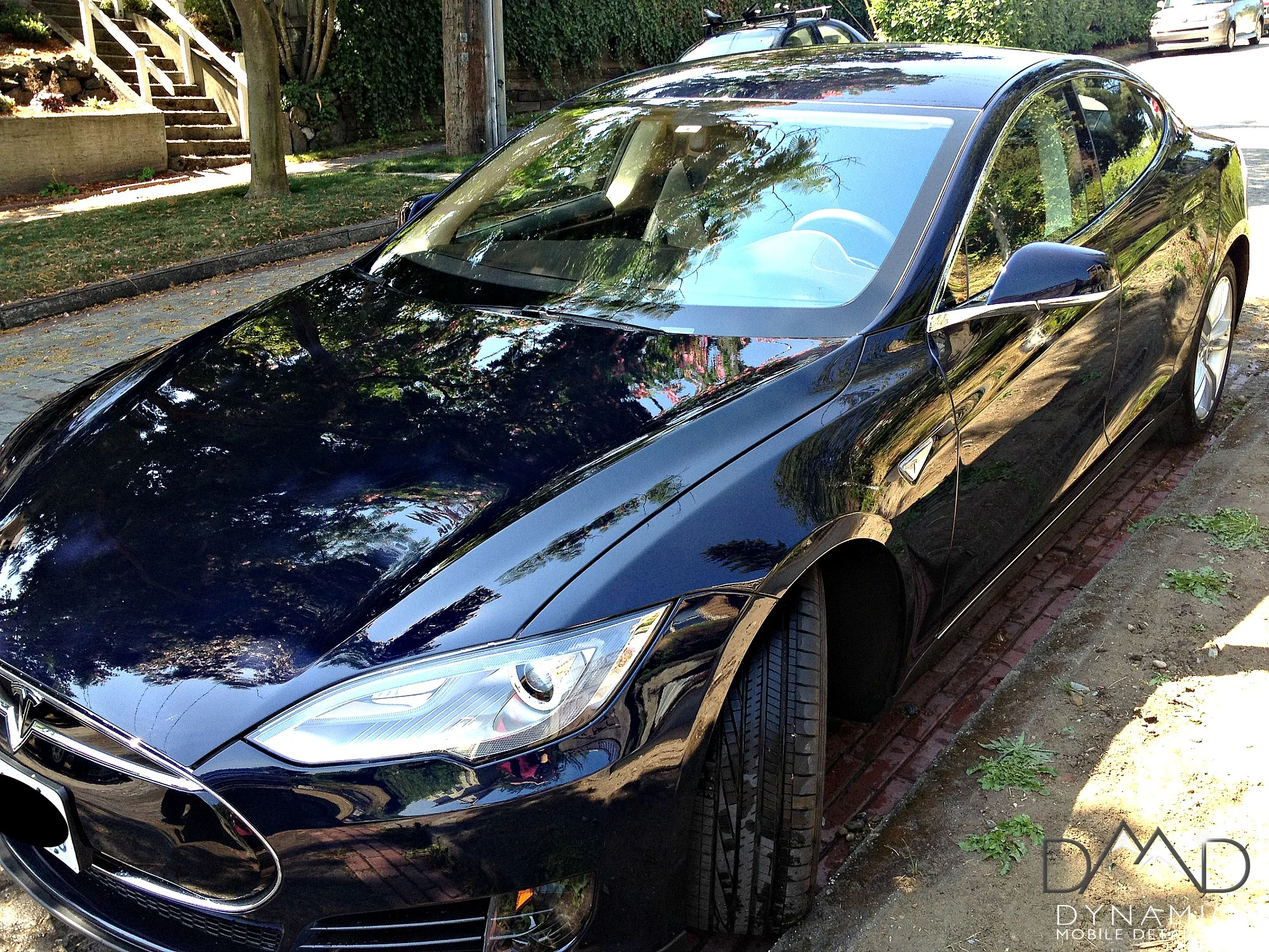 Blue Tesla4.jpg