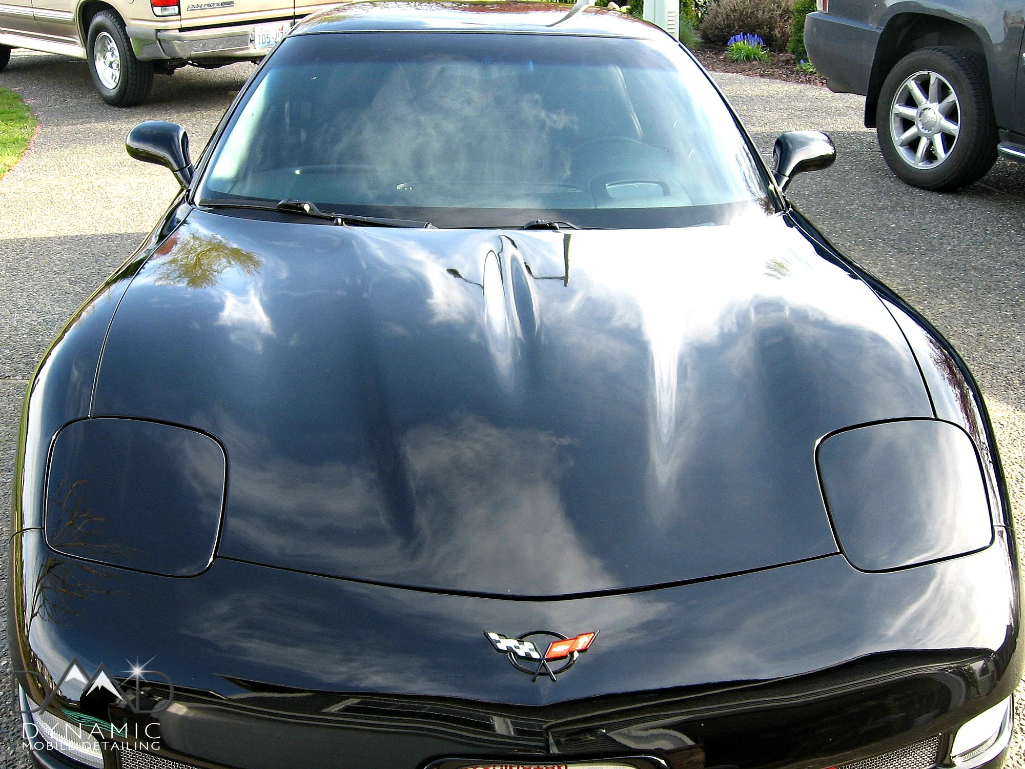 Corvette 3.jpg