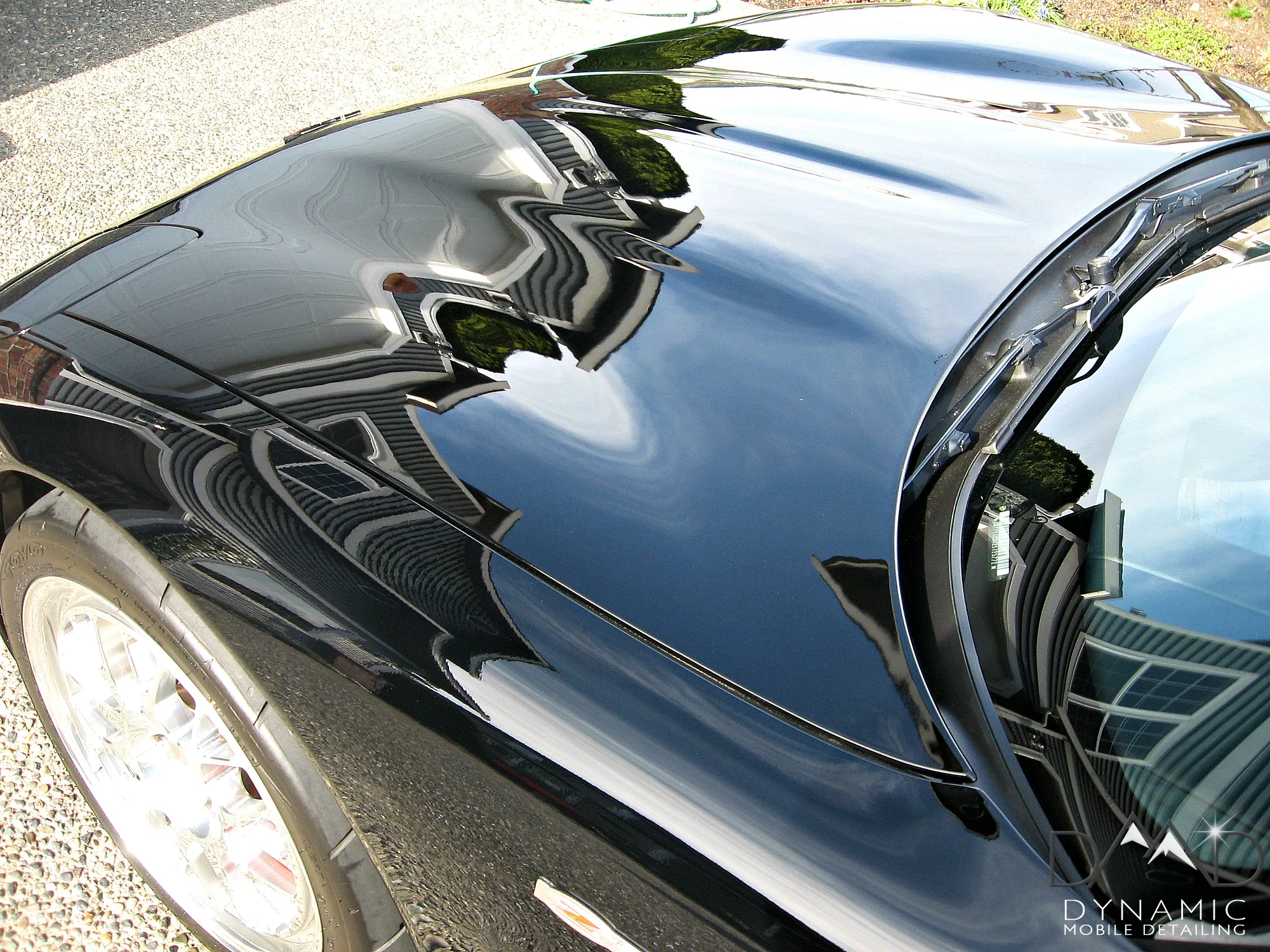 Corvette 8.jpg