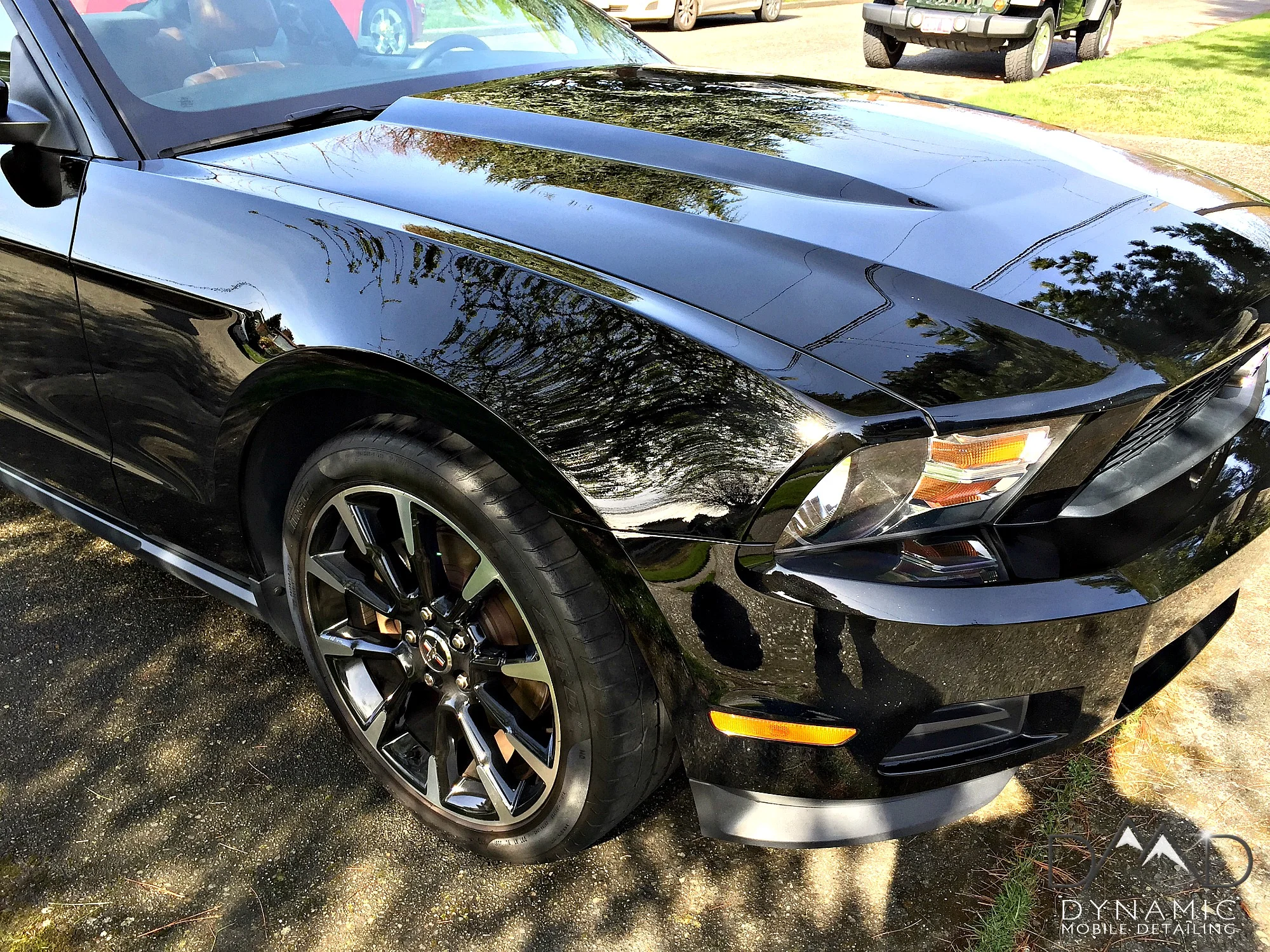 MustangGT-3.jpg