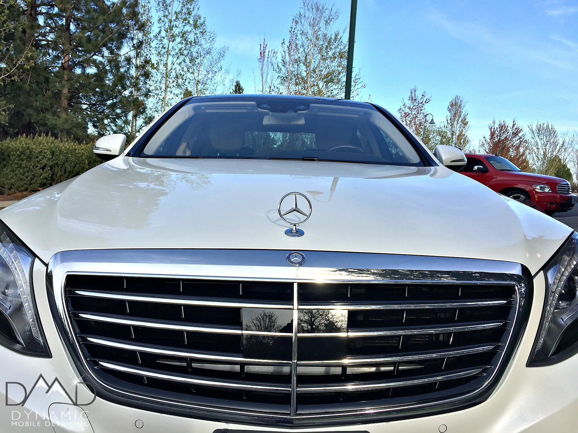 White Merc-5.jpg