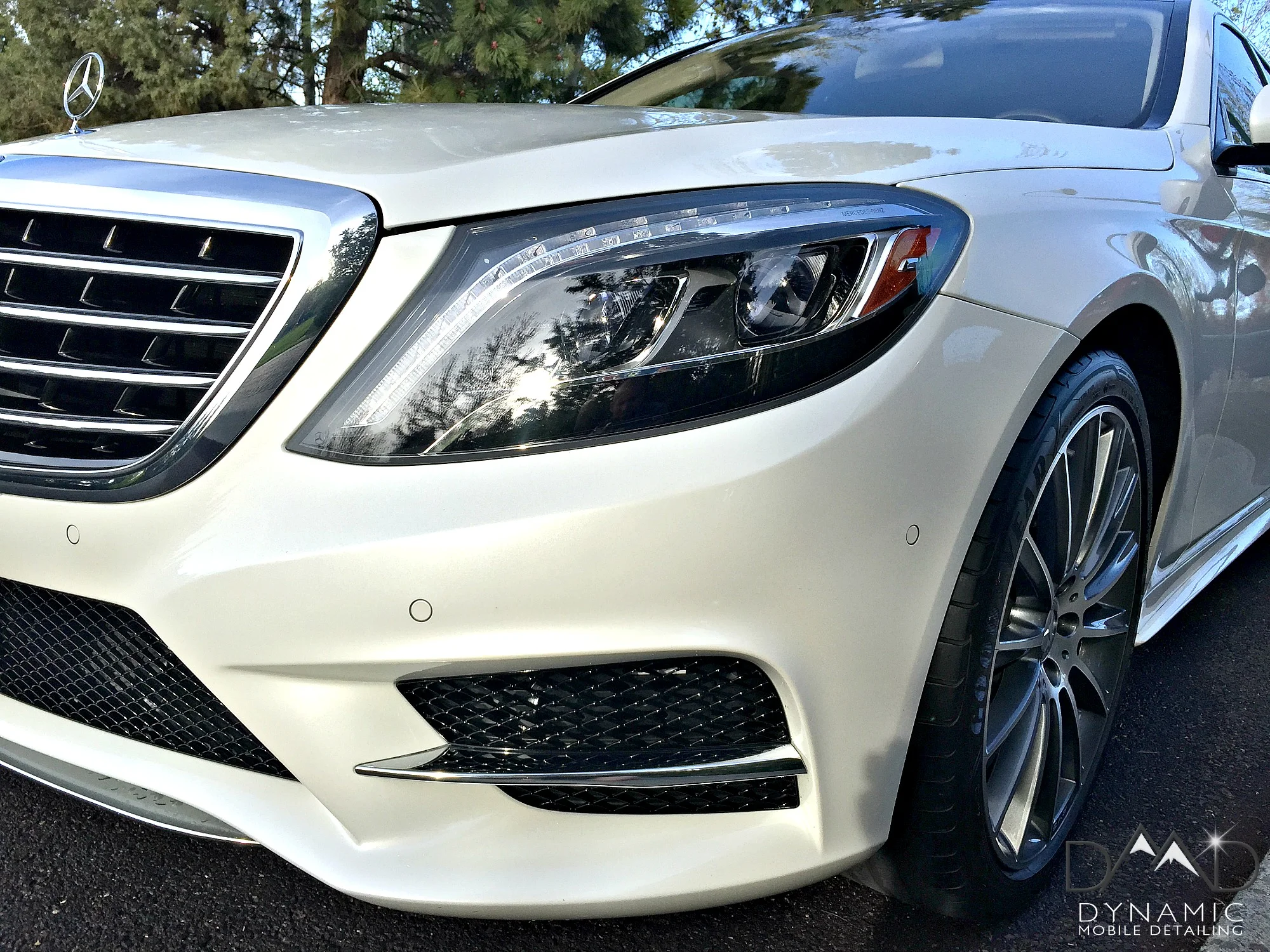 White Merc-7.jpg