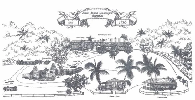 Estate Mt Washington Schematic.jpg