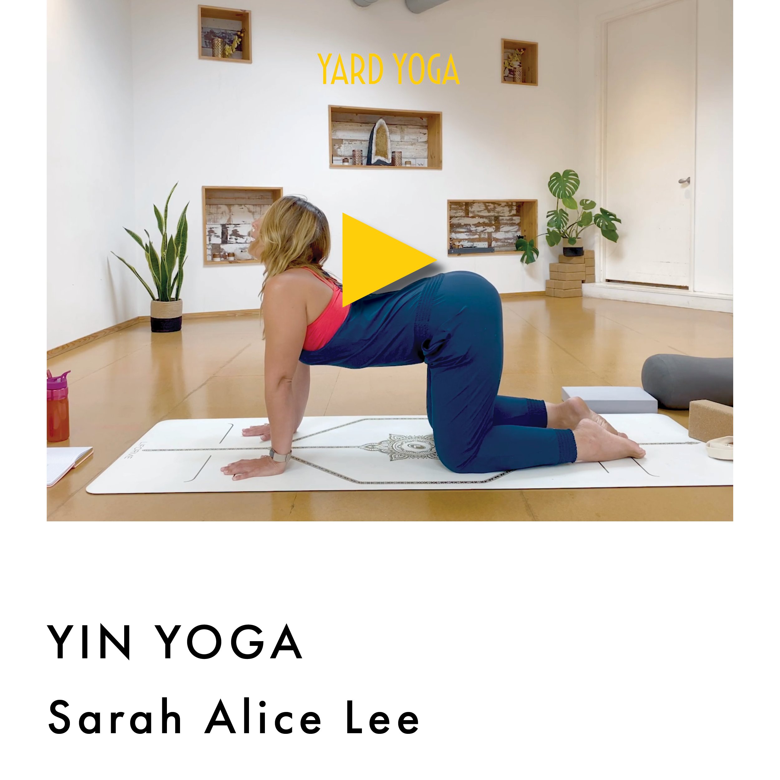 Yard_Yoga_Latest_Videos.png