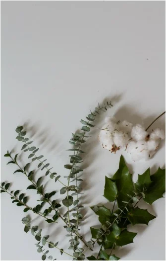 So, florals. My new obsession for everything, especially gifts. I buy some from fancy floral shops, some from Kroger, and then I just find some in my backyard. Eucalyptus, Holly, Cotton, and Baby's breath are my faves. :) 