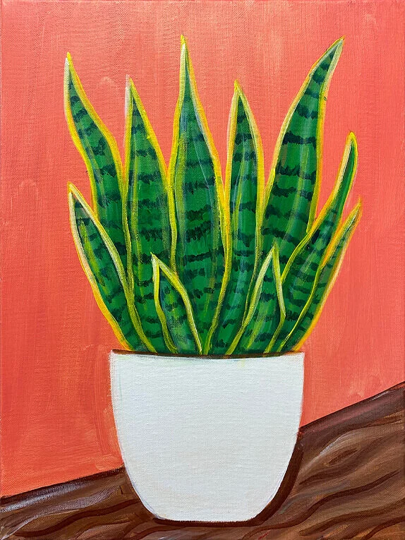 Sized-for-GallerySnake-Plant.jpg