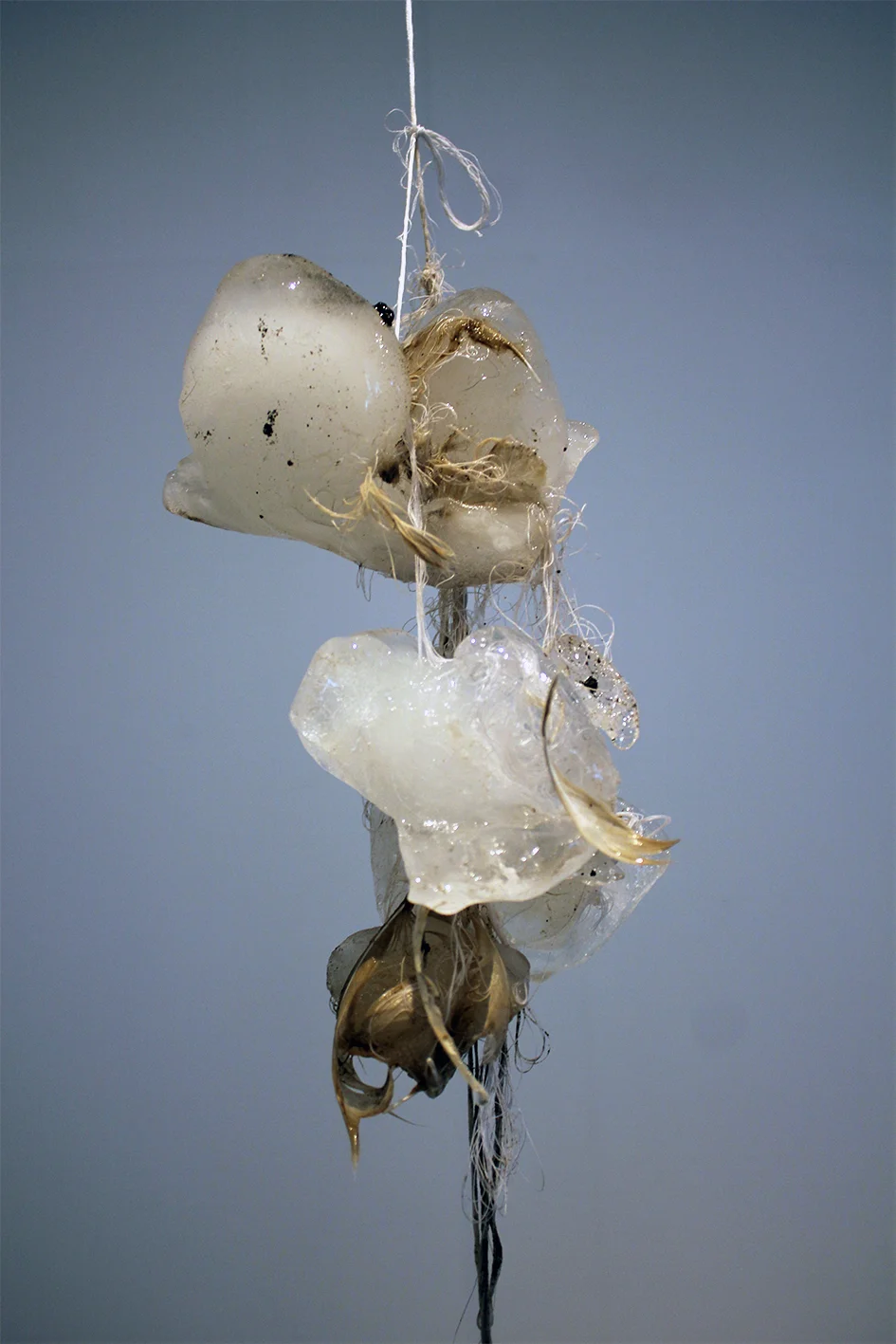 Detail from installation, frozen Thames river water, feathers, cotton