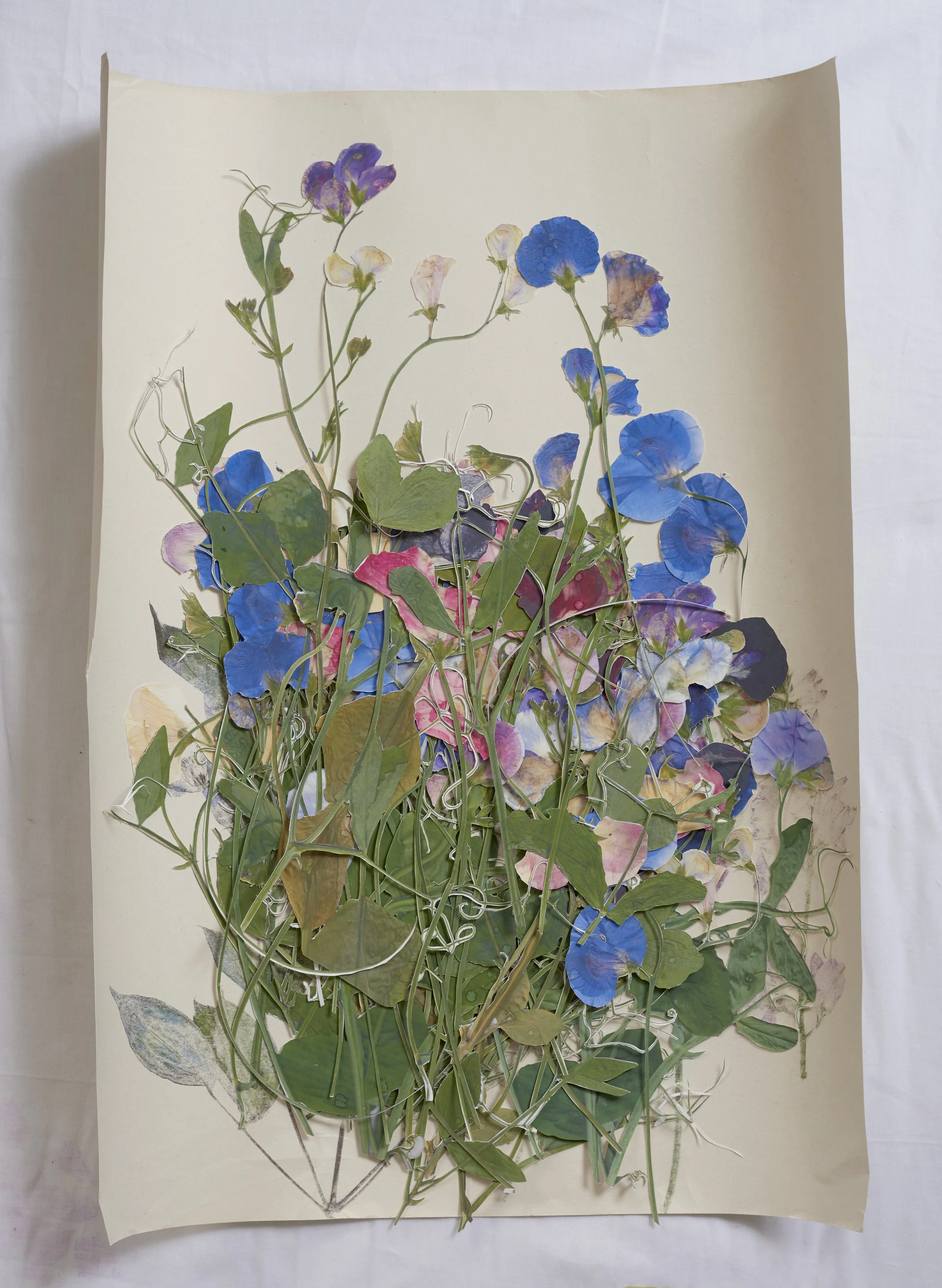 13. Sweetpea stencils.jpg
