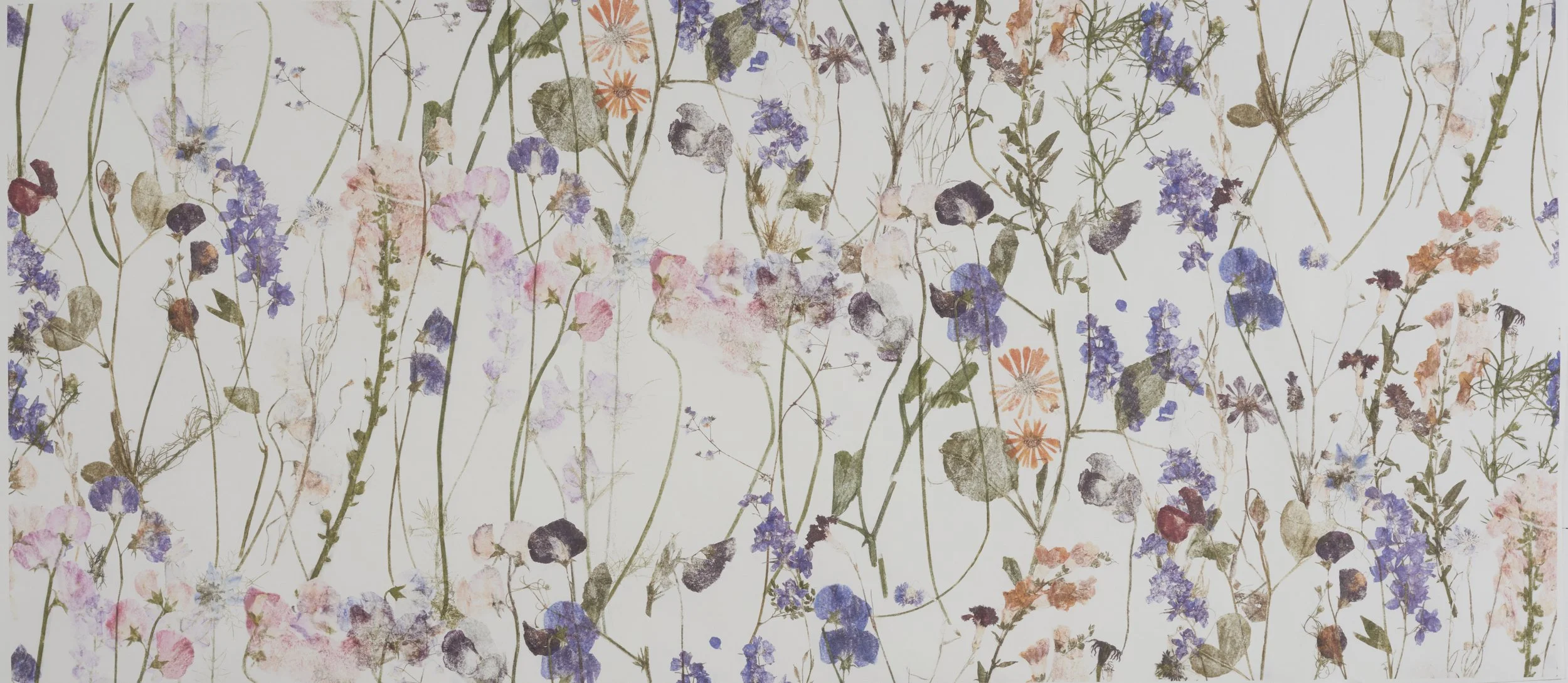 11. Wildflower.jpg