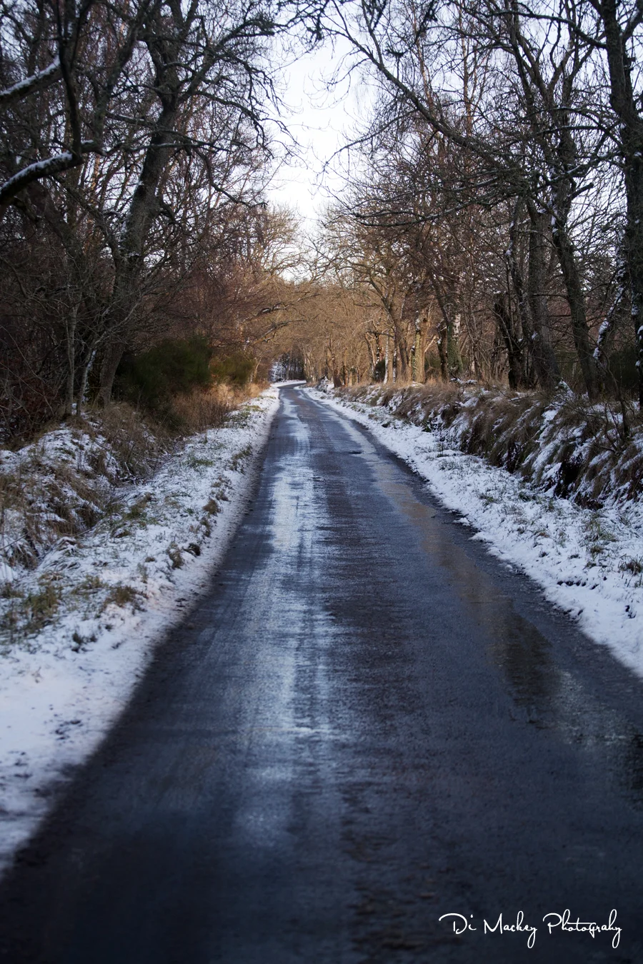 the road, scotland.jpg