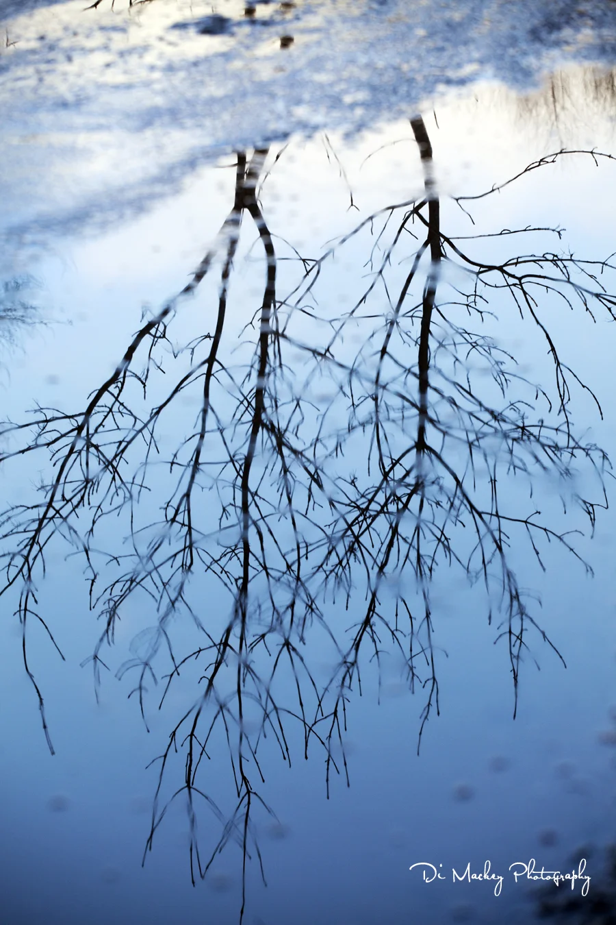 reflections, scotland.jpg