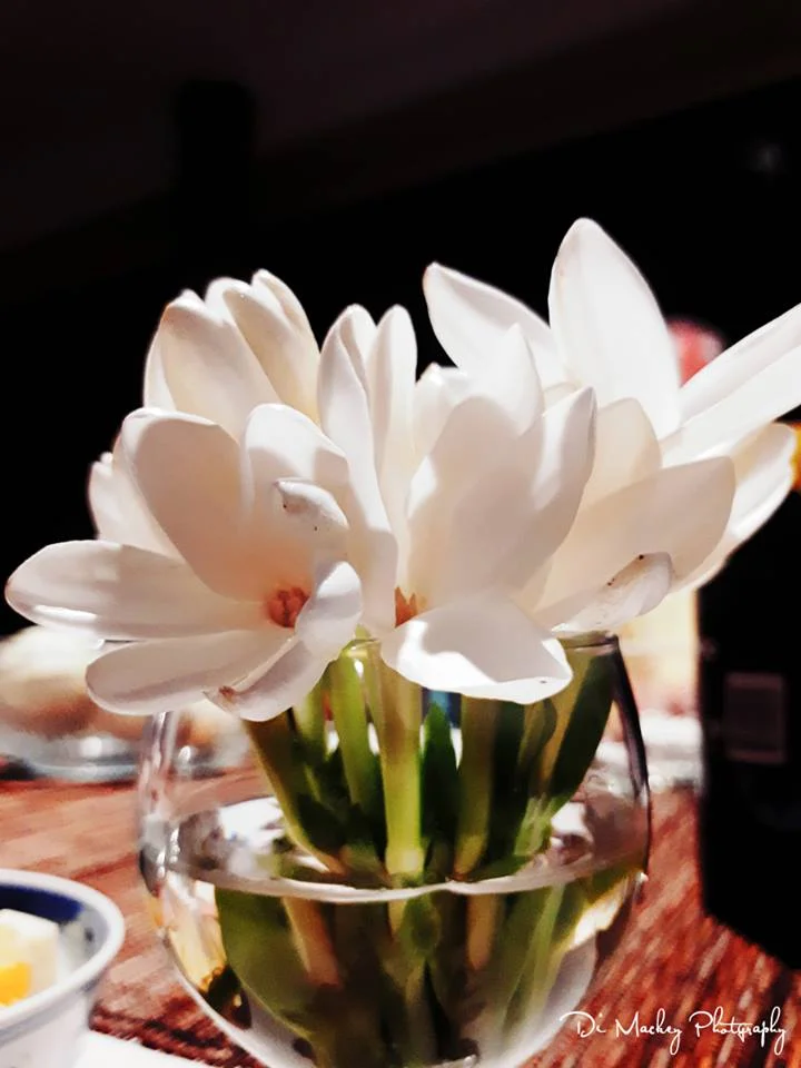 tiare flower.jpg