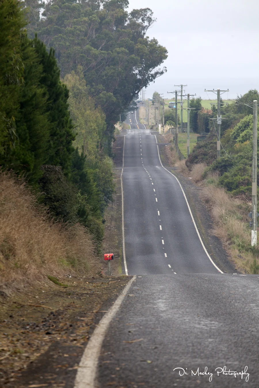 the road goes on forever.jpg