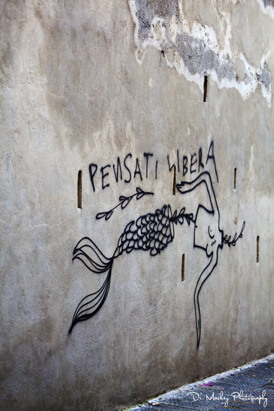 found in the carrugi.jpg