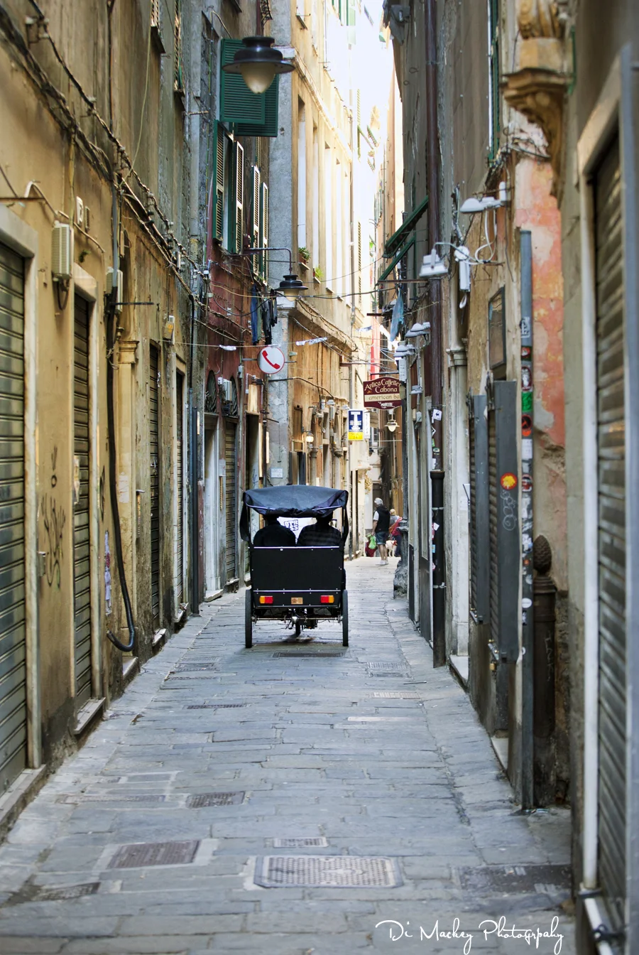 rikshaw .jpg