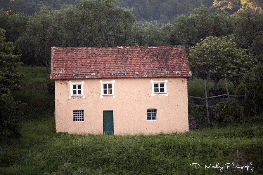 My Home.jpg
