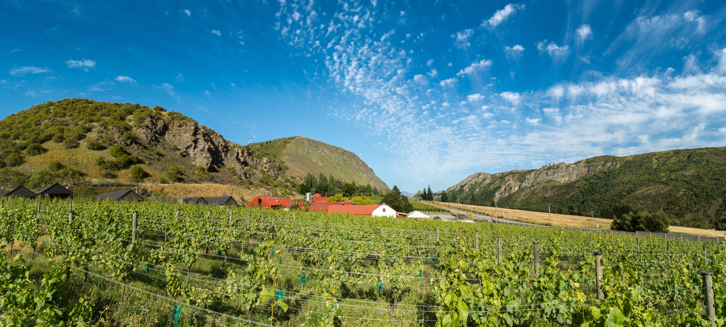 Gibbston Valley Lodge & Spa - Vines.jpg