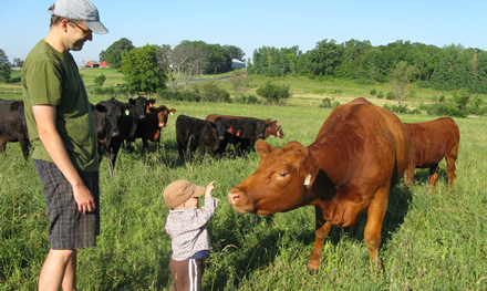 Stonebridge Beef Llc 100 Grass Fed Beef Direct From Our Farm Our Farm