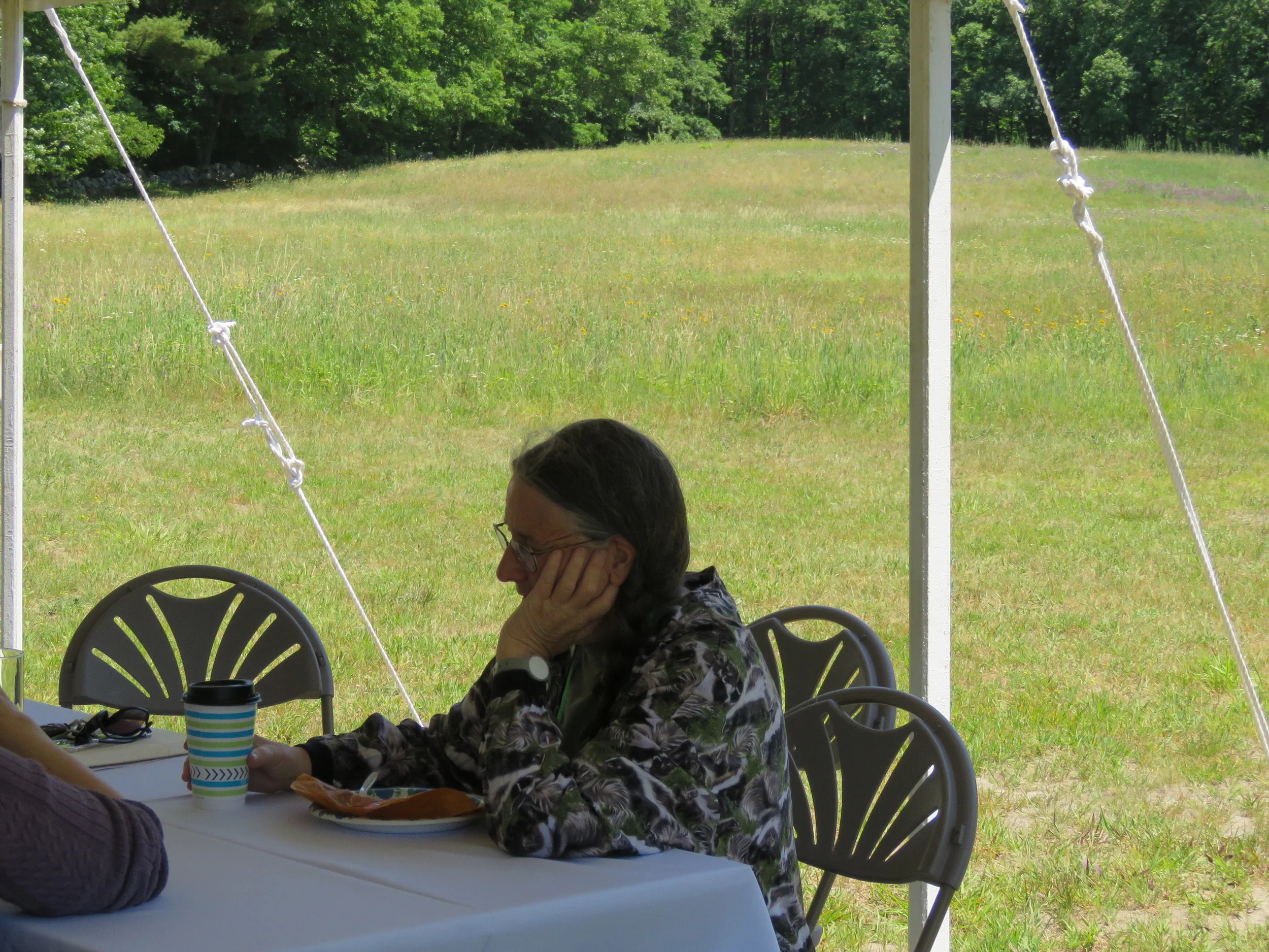 Pensive against the pasture