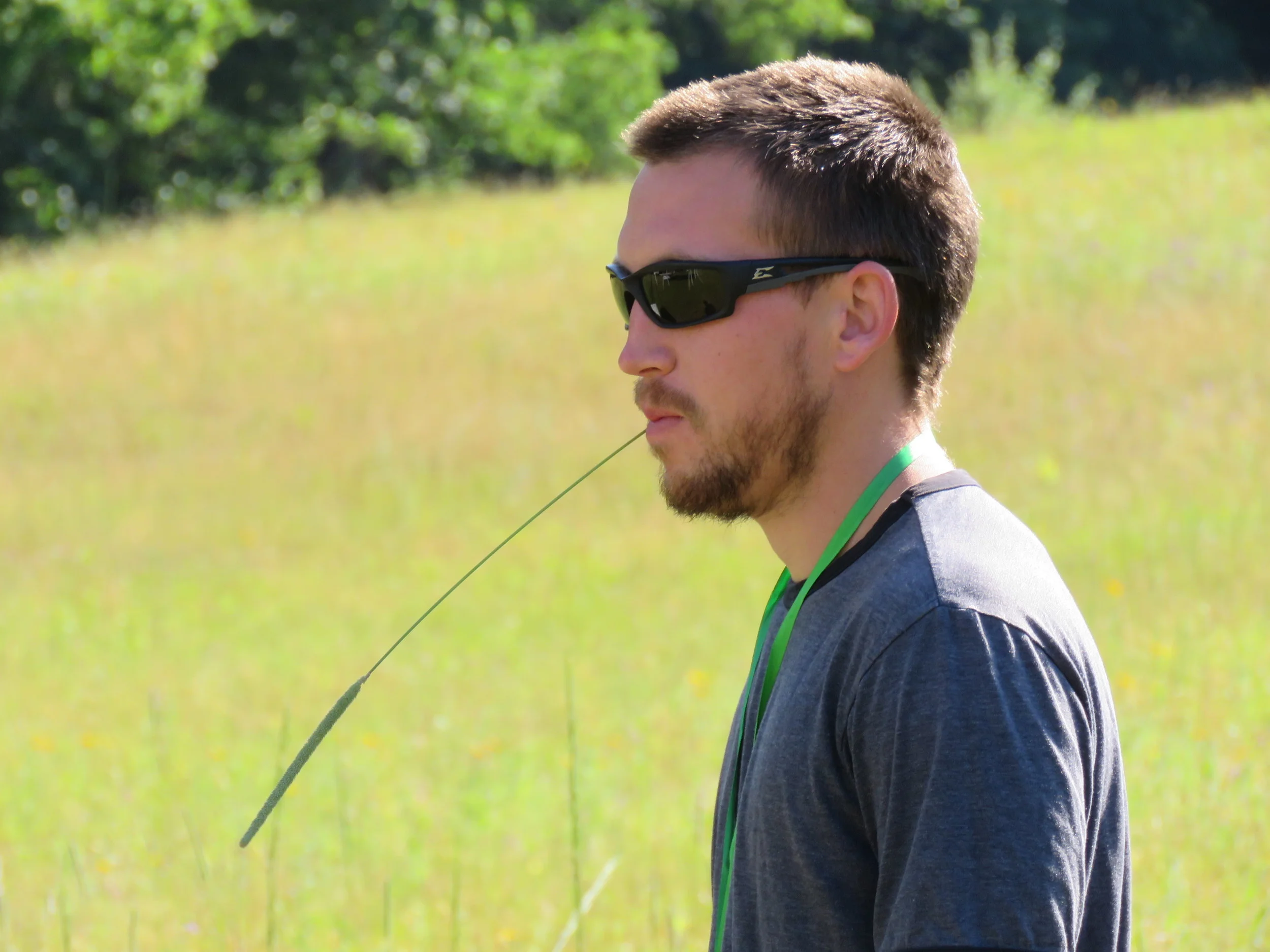 Reid walks the pasture