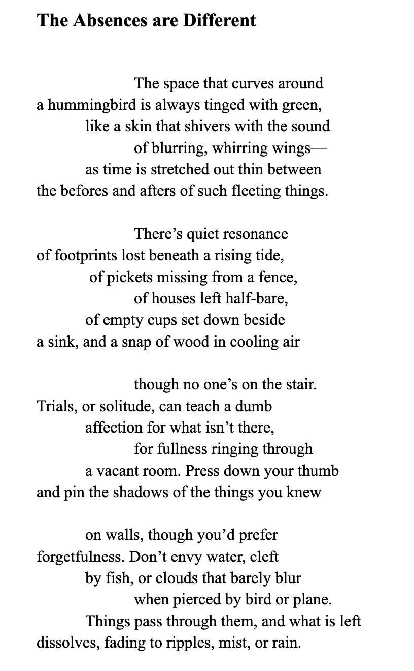 The Absences Are Different - Poem by Carla Galdo