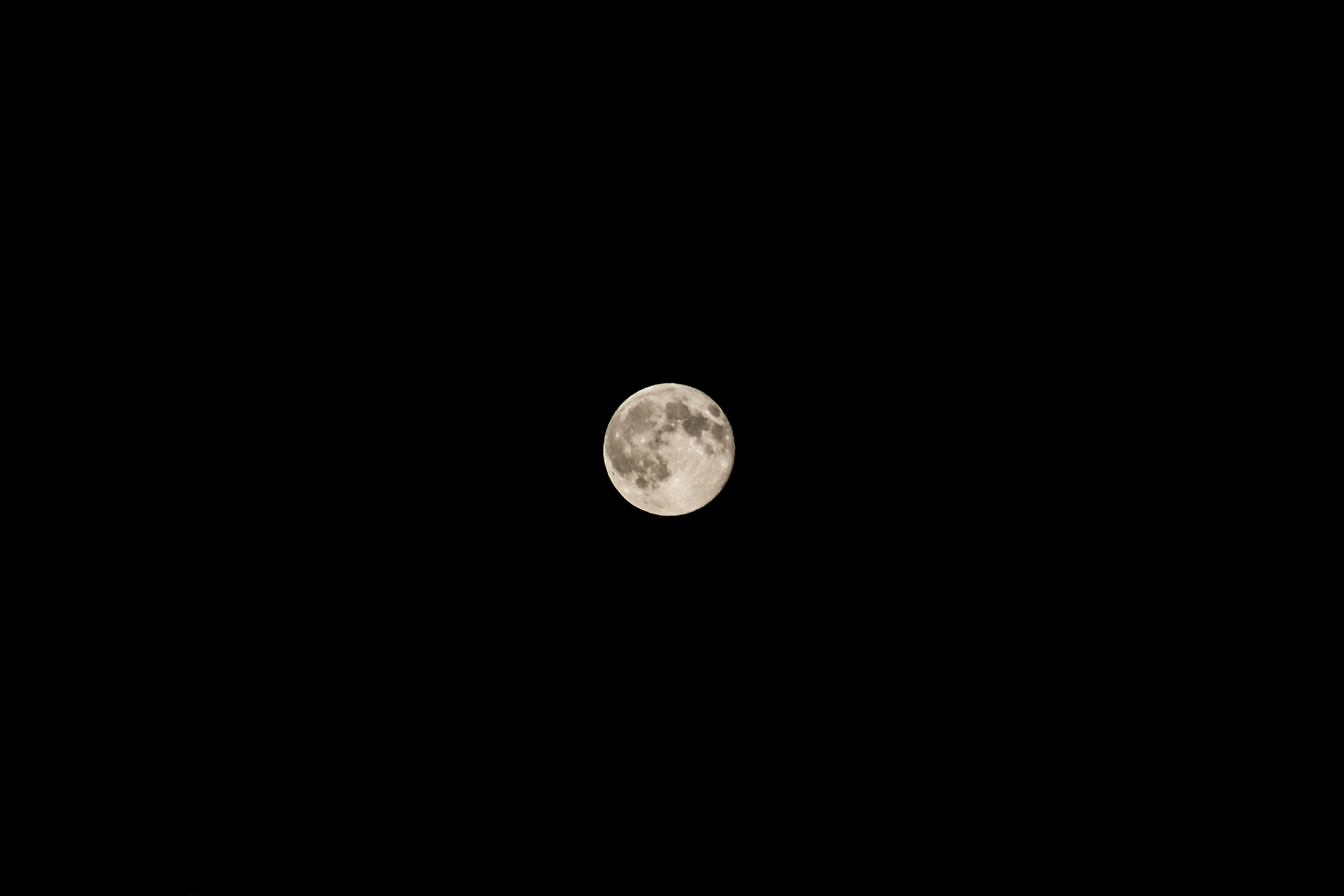 f/5.6 1/200 ISO400 @ 200mm | Plain and simple.