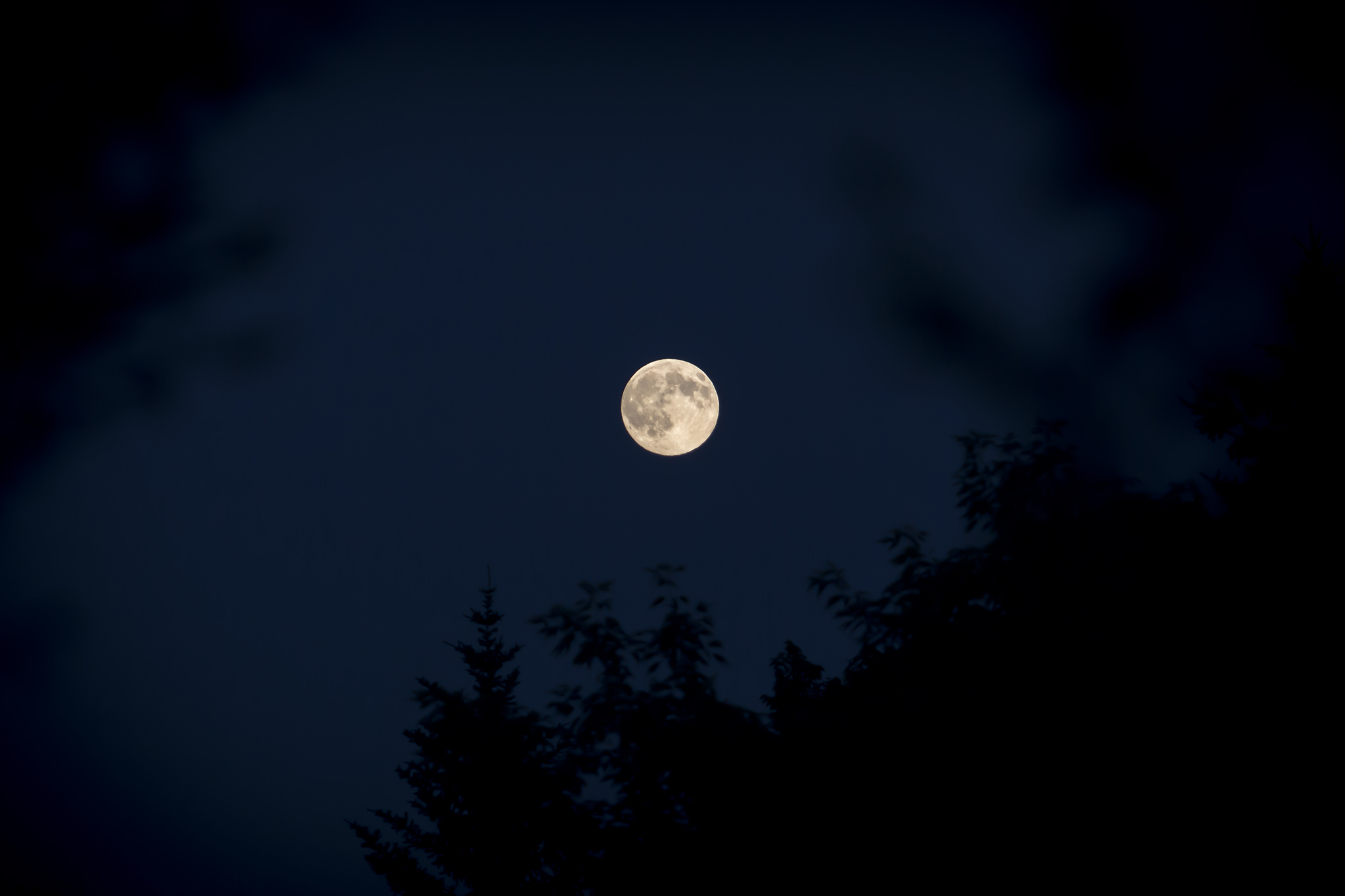 f/5.6 1/100 ISO200 @ 160mm framed by trees.