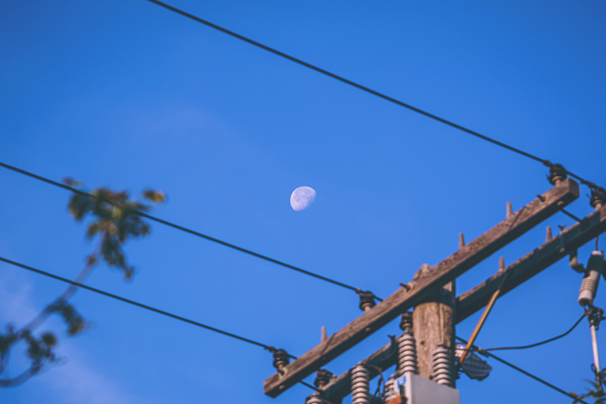 Shooting the moon in the morning, on the way to work in downtown REgina