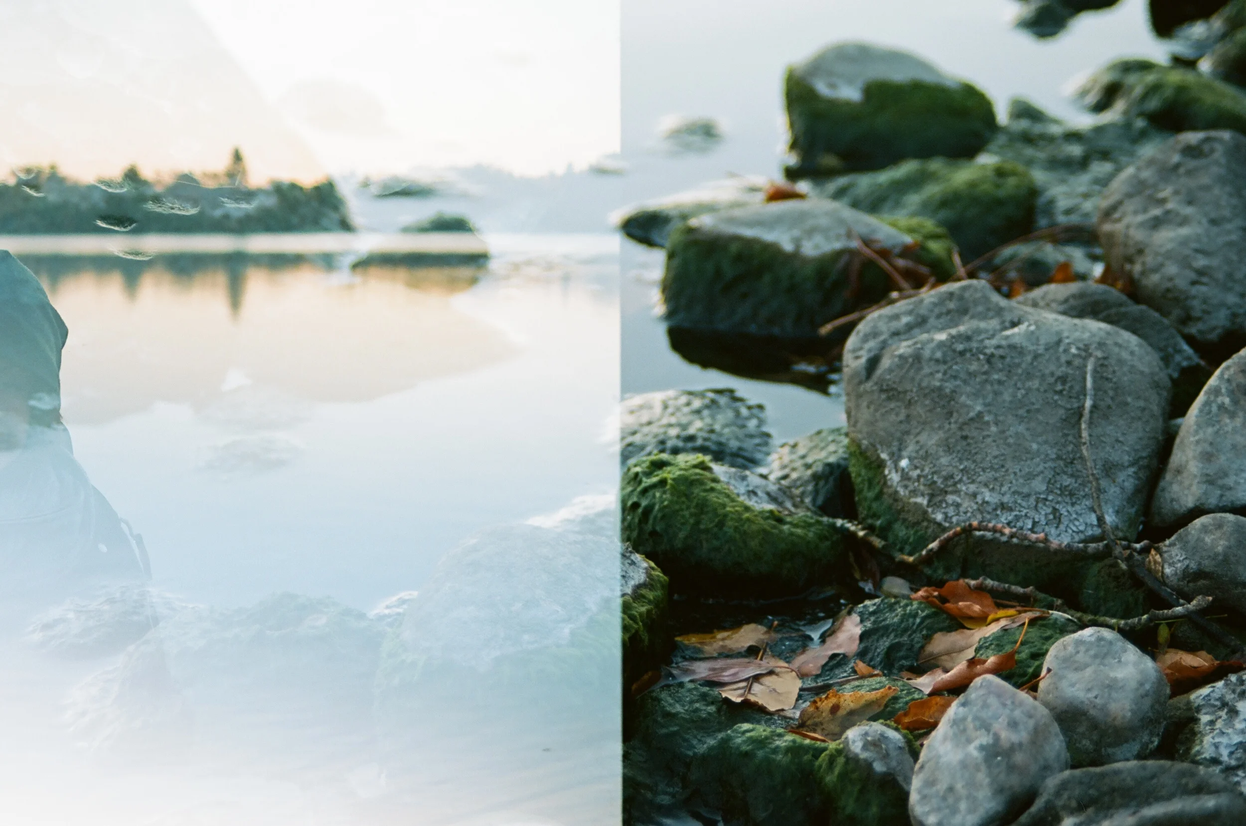 A double-exposure that didn't work as planned. | Pentax K1000 | Kodak Ektar 100