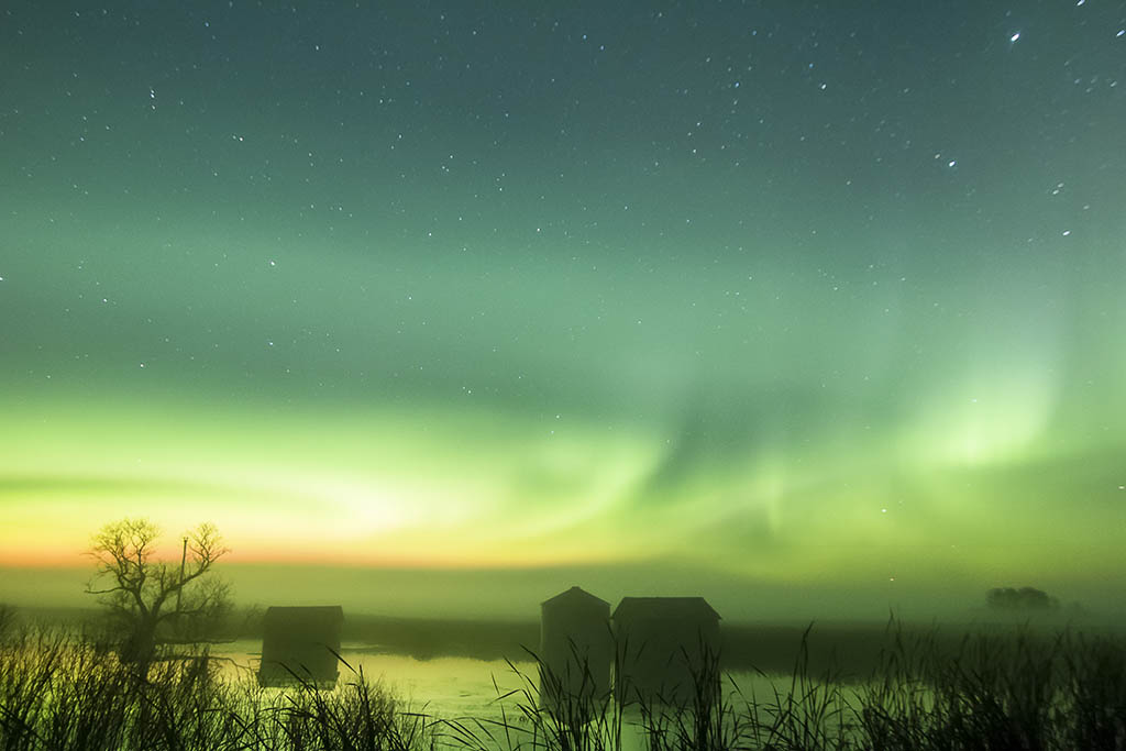 Saskatchewan_Nightlife_Aurora_009.jpg