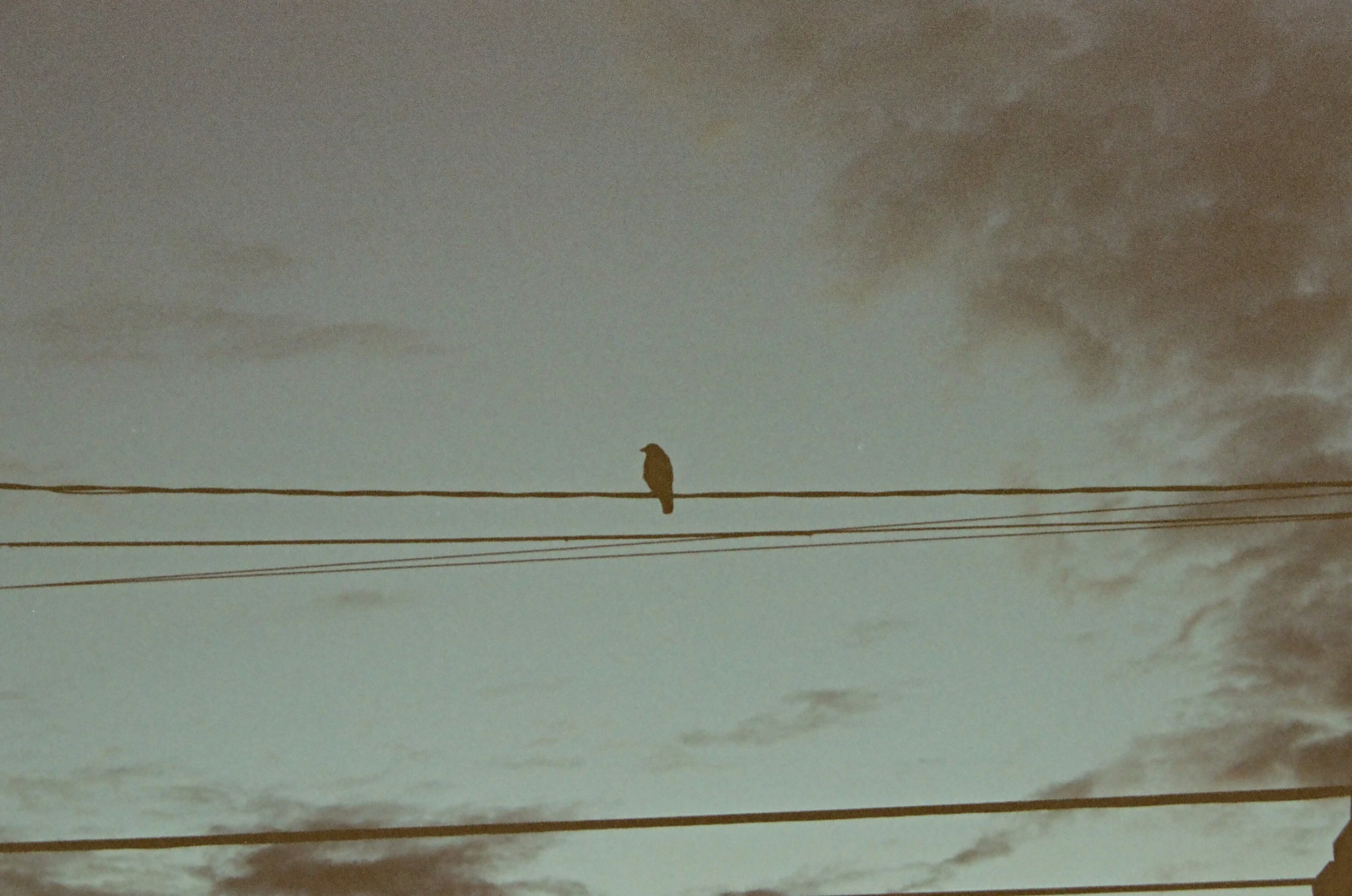 September 2015 - Kodak Gold 200 Exp. 7/2007