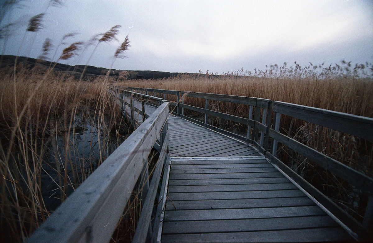 120 [F] Canon Elan II - Fuji 200 @ 800 - 023.jpg